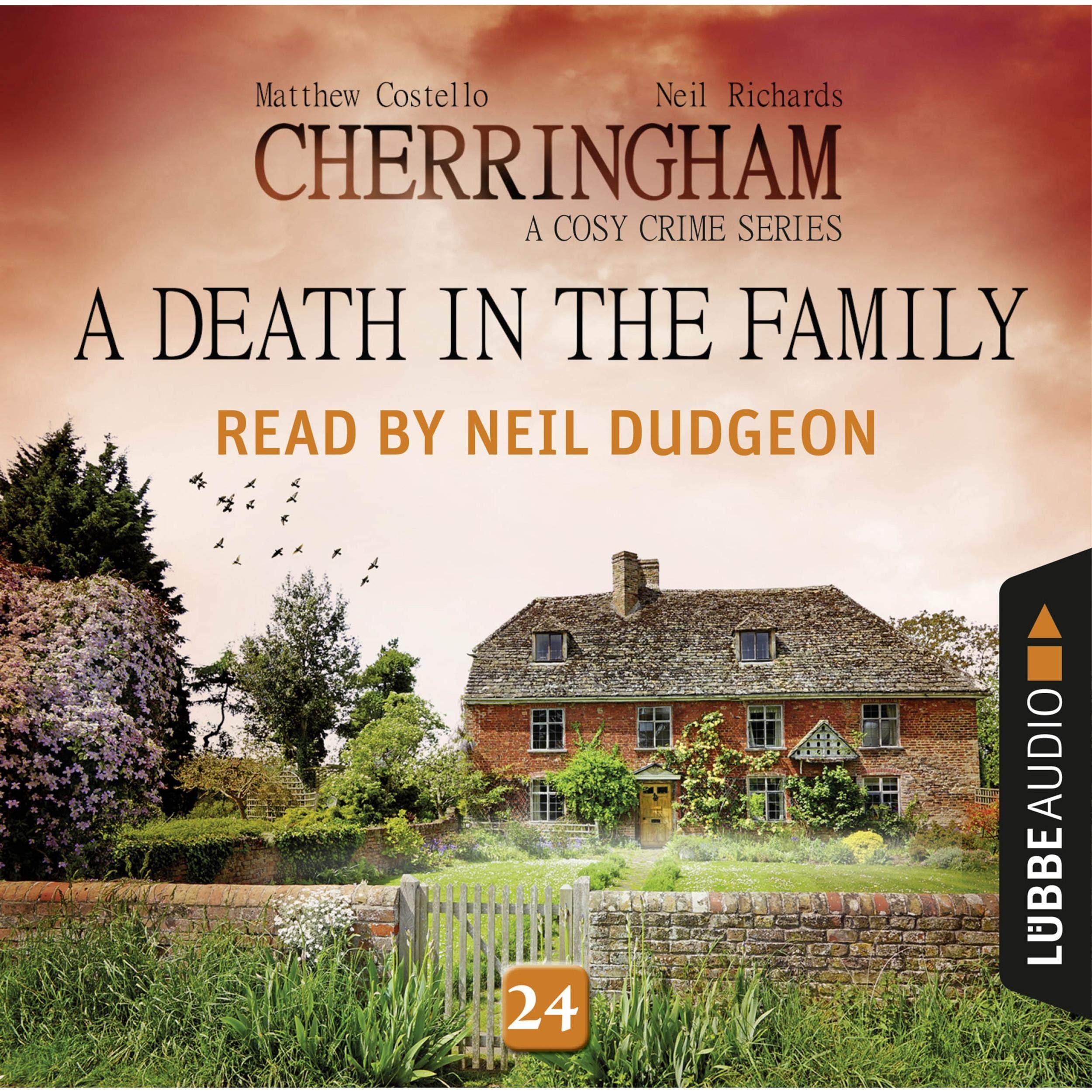 Cover art for A Death in the Family