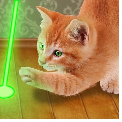 Lasers Pointer for Cat 🐱