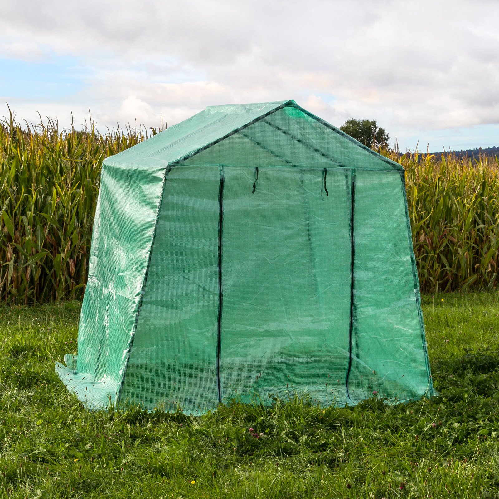 Telo di ricambio per serra da giardino, 5 m2