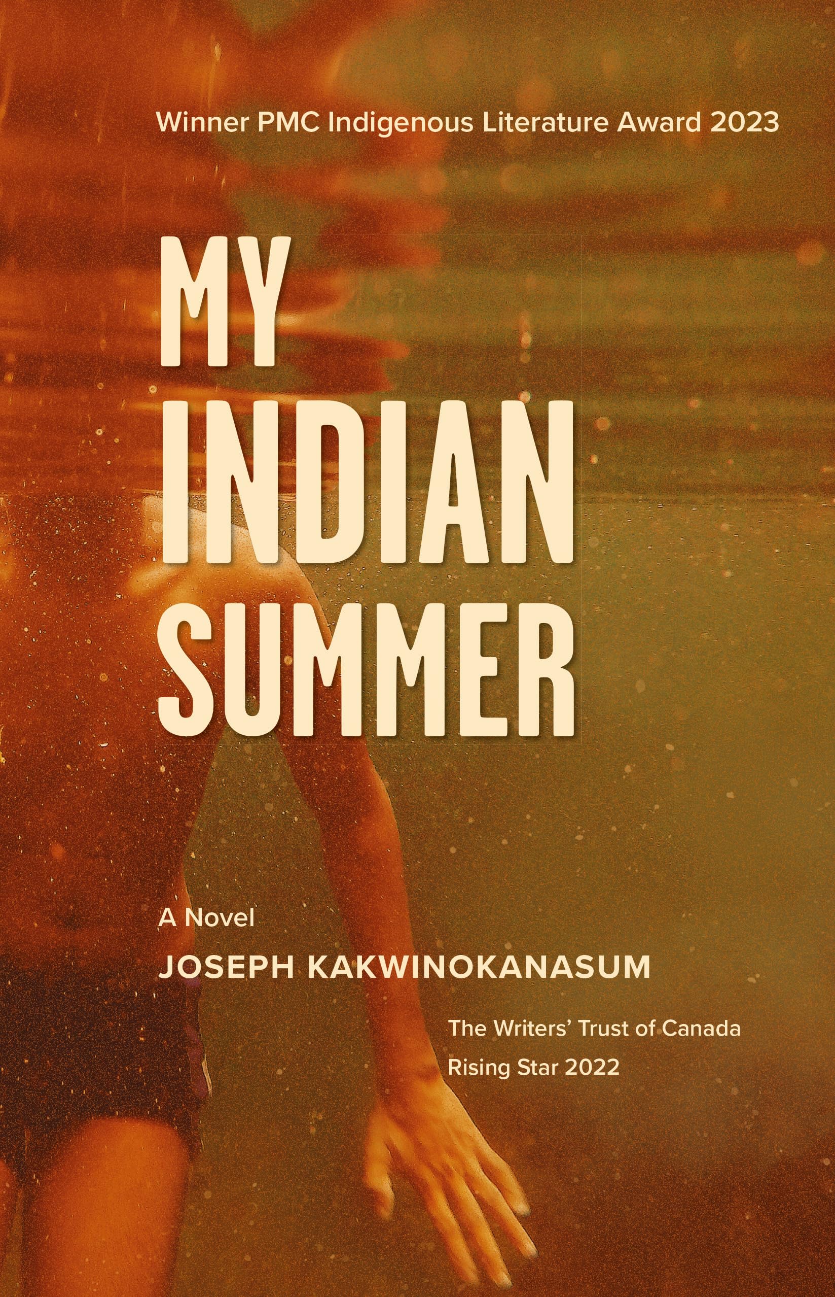 Buy My Indian Summer: A Novel — BookShops.in
