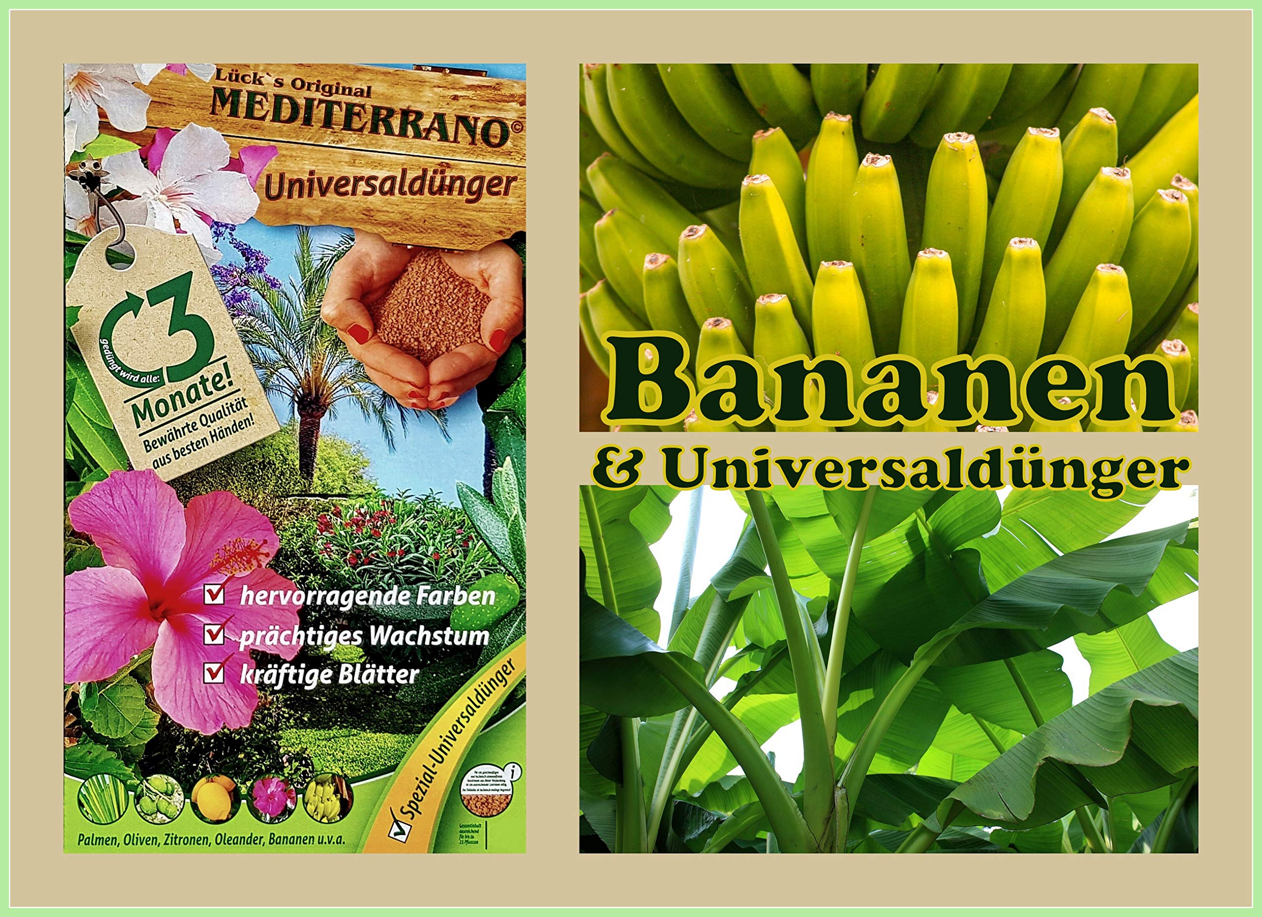 "Mediterrano Bananenbaum Dünger – Optimale Nährstoffversorgung für gesunde, kräftige Bananenbäume!" 1,5 Kg Original Mediterrano