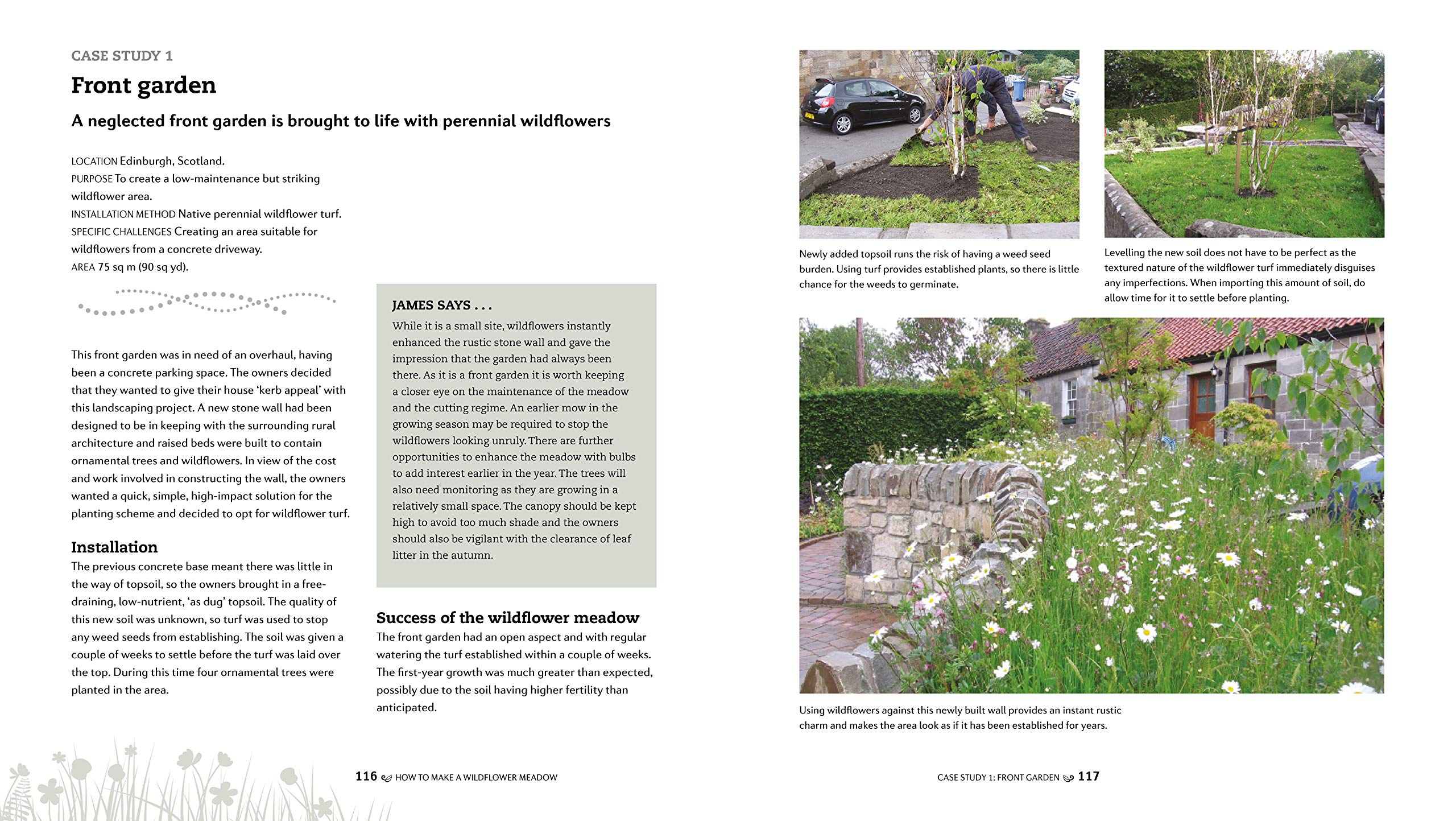 How to make a wildflower meadow: Tried-And-Tested Techniques for New Garden Landscapes
