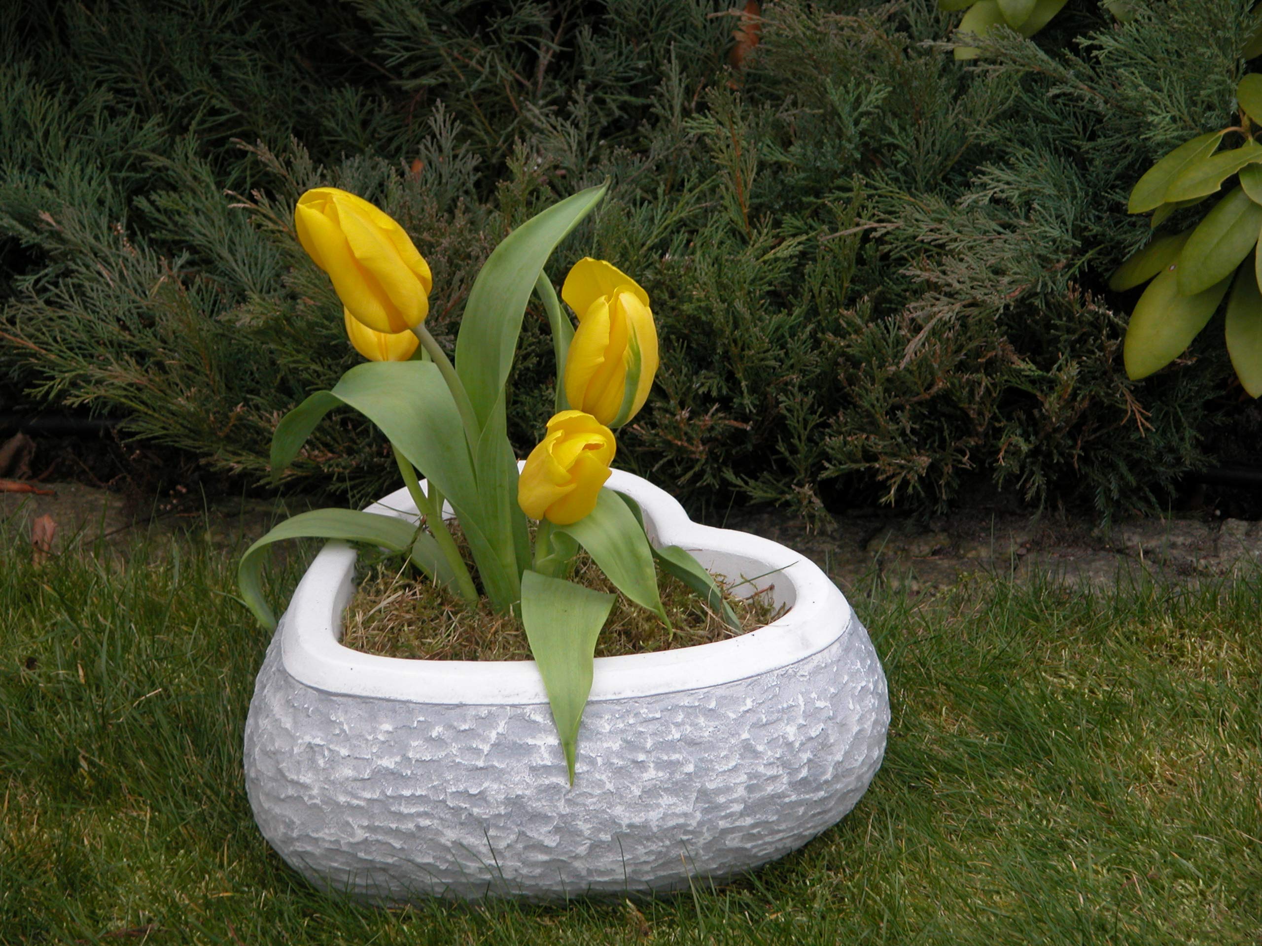 Grote plantenbak met eikenblad en rammotief van gegoten steen, H 92 cm, 66 liter, 129 kg, grijs, vorstbestendig voor buiten
