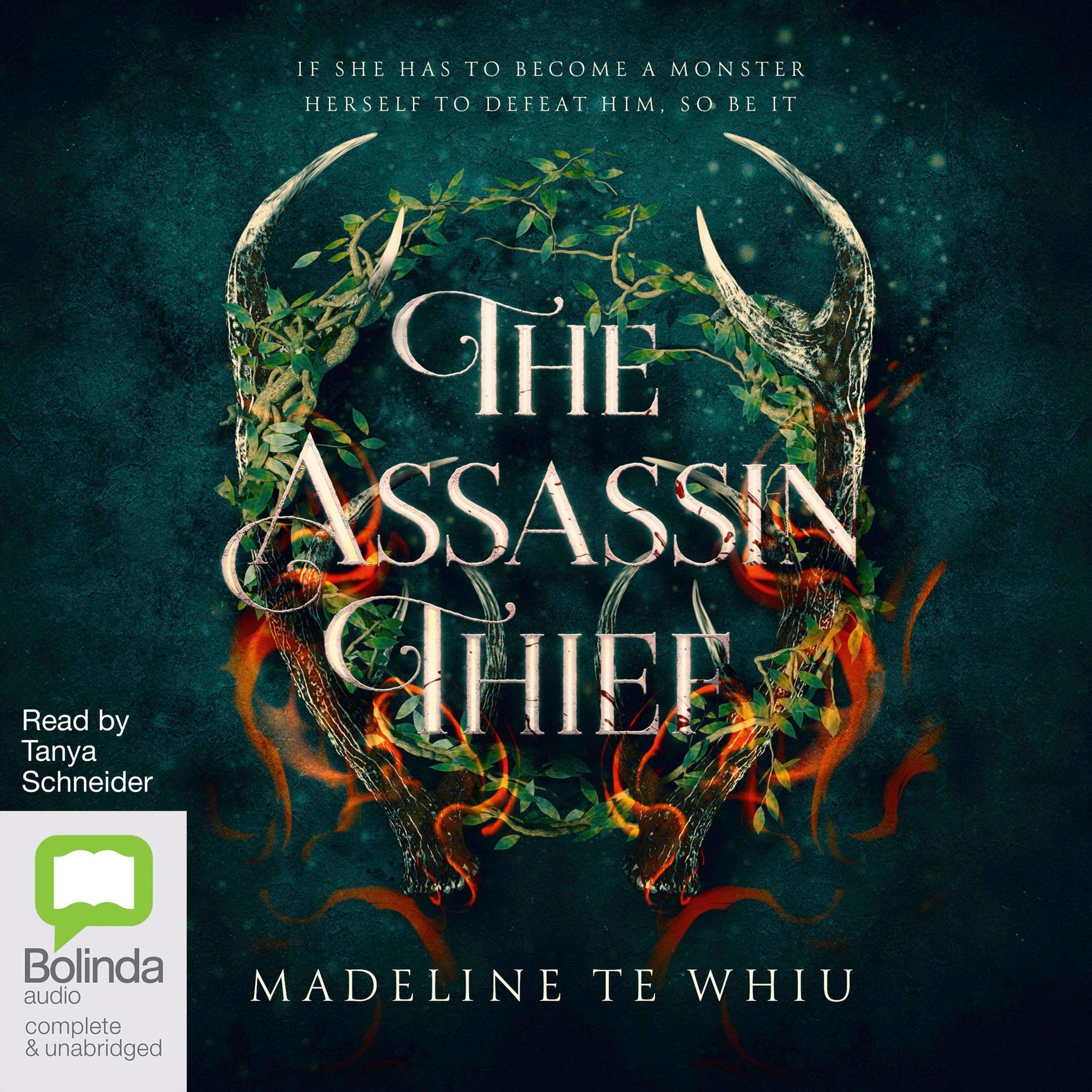 Cover art for The Assassin Thief