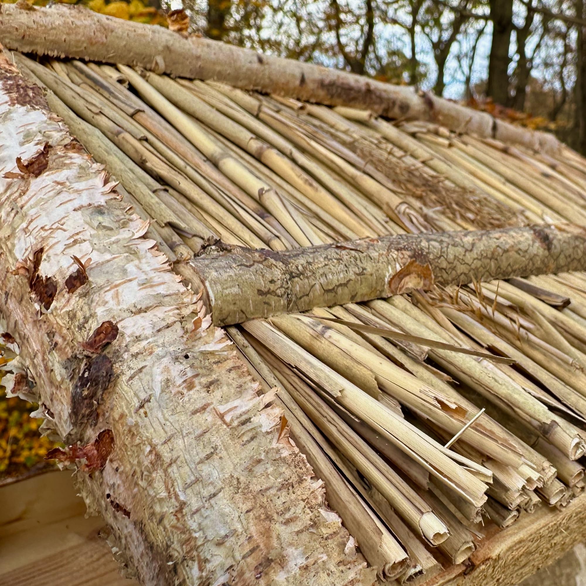 GARTENETAGE Vogelhaus Birke mit Reetdach/Vogelhaus mit Ständer wetterfest und stabil/Vogelfutterhaus mit Ständer/Robustes Vogelhäuschen für Ihren Garten
