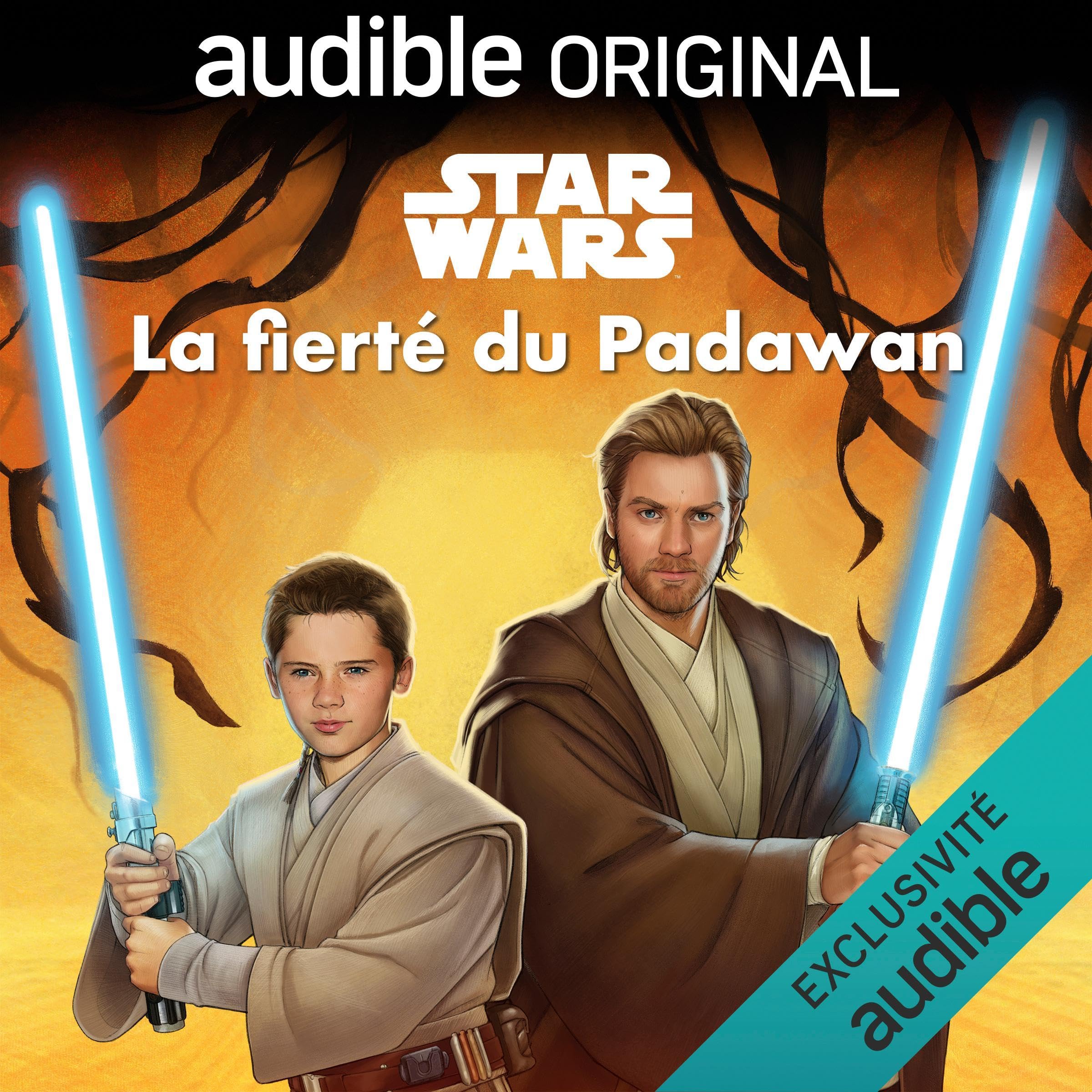 Star Wars : La fierté du Padawan