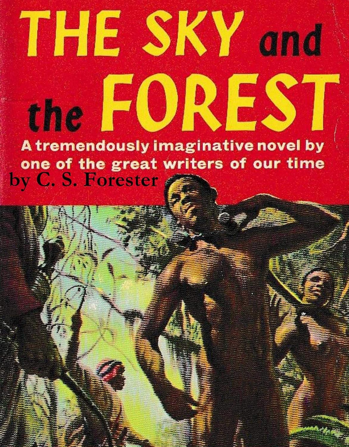 The Sky and the Forest      Kindle Edition