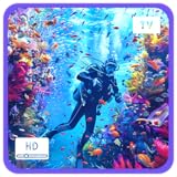 CozyCorner ScreenApps