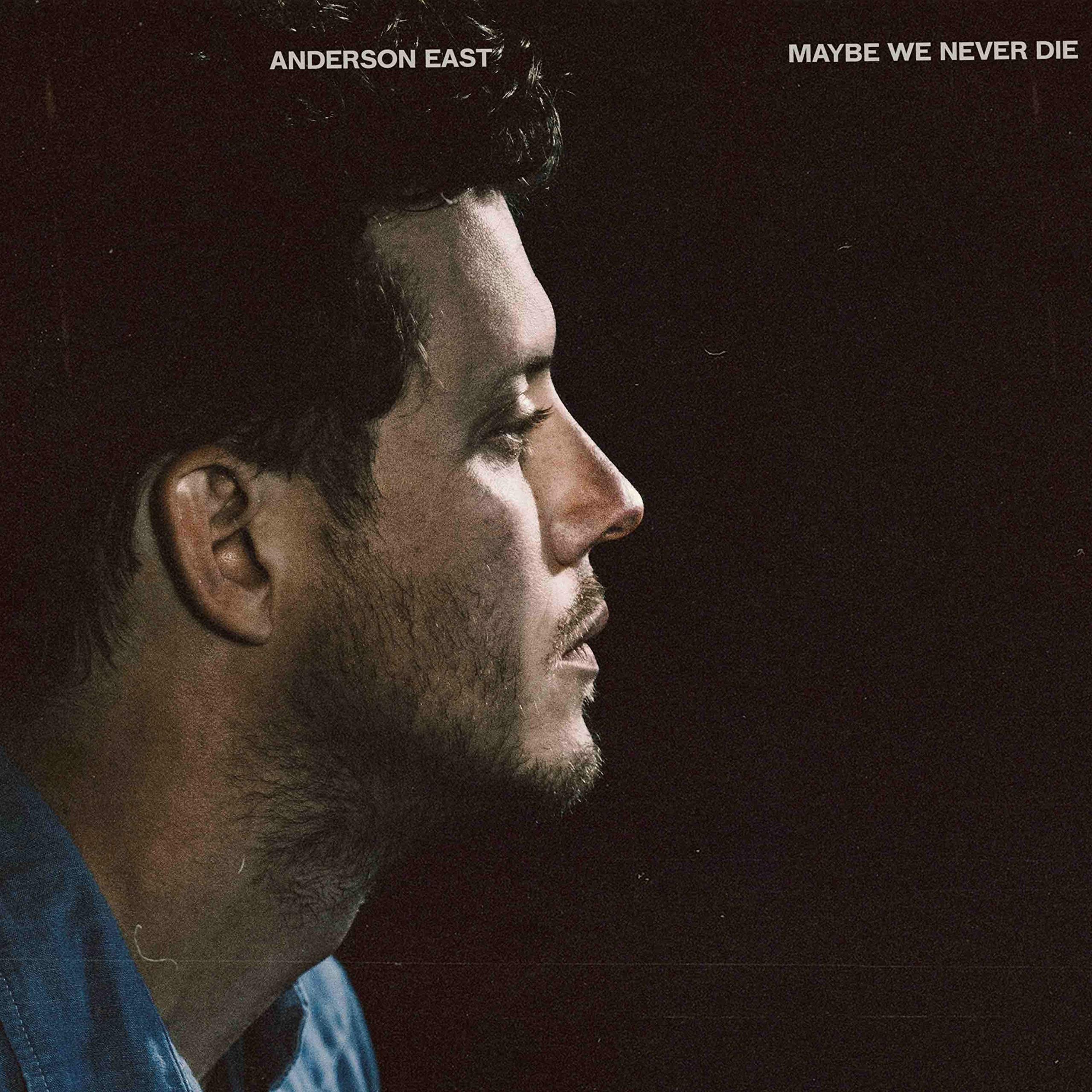 Maybe We Never Die [VINYL]