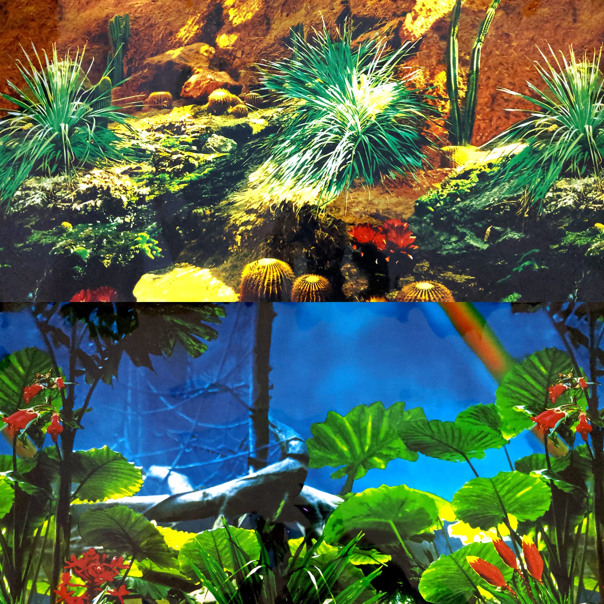 Aquacadabra Repeating Cactus Garden/Rainforest Aquarium Background (19" height) x 48" length