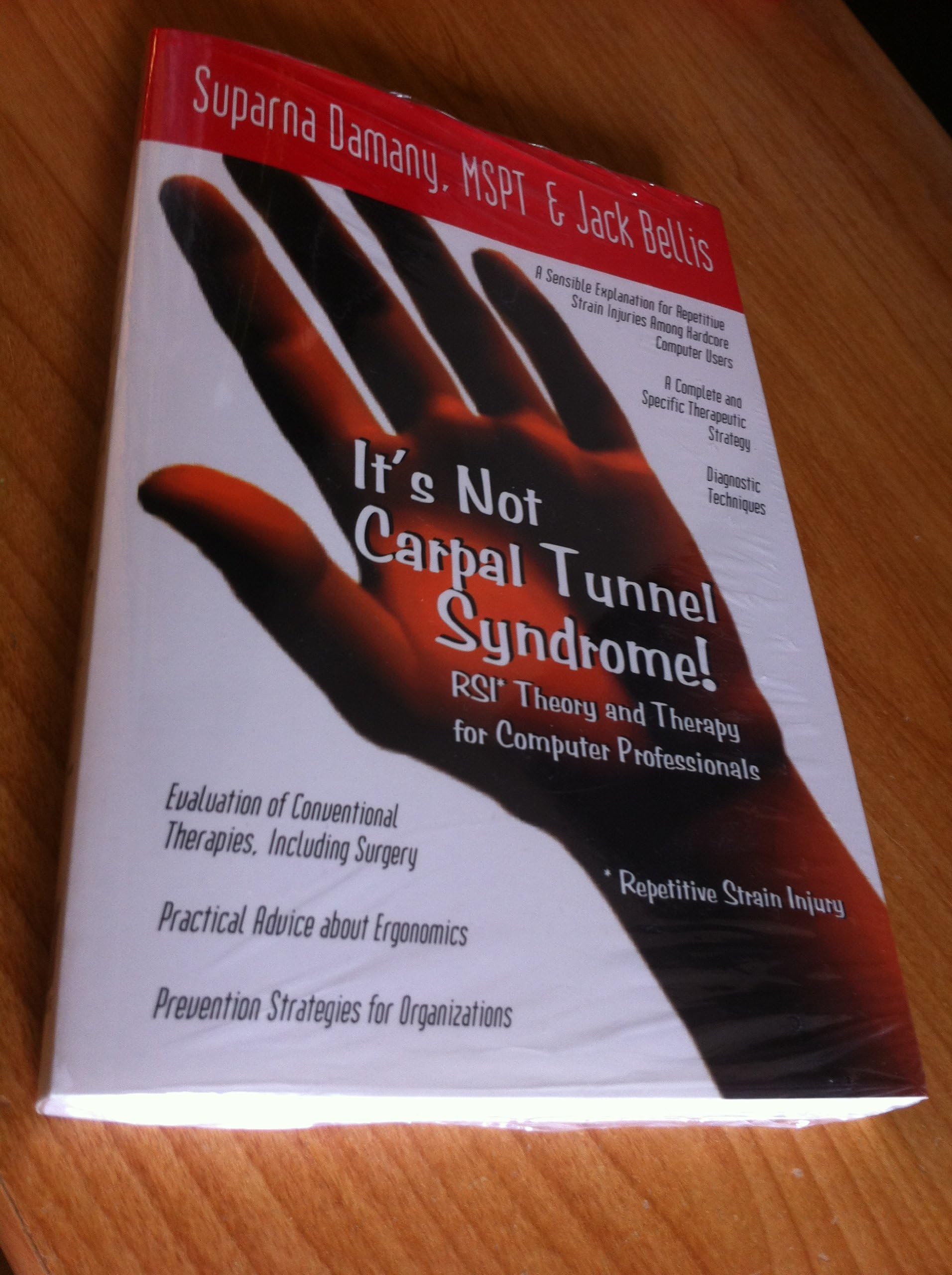 It's Not Carpal Tunnel Syndrome!: RSI Theory and Therapy for Computer Professionals