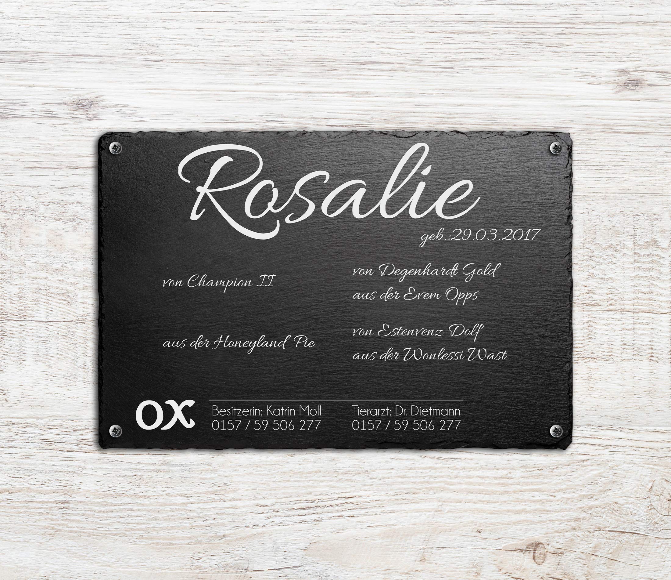 CHRISCK design Boxenschild Stallschild Pferdeschild aus Schiefer mit Fotogravur für Ihr Pferd
