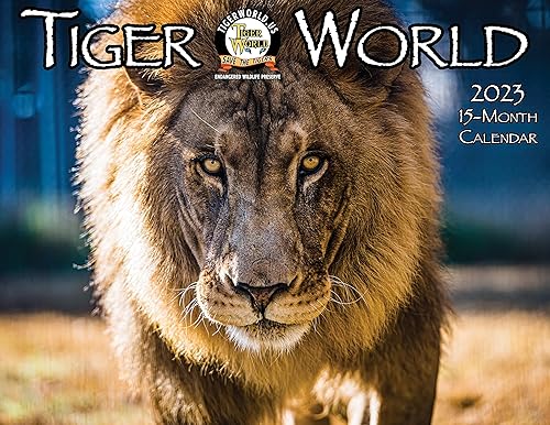 Tiger World 2023 - Calendario de pared de 15 meses, tigre, león, perezoso