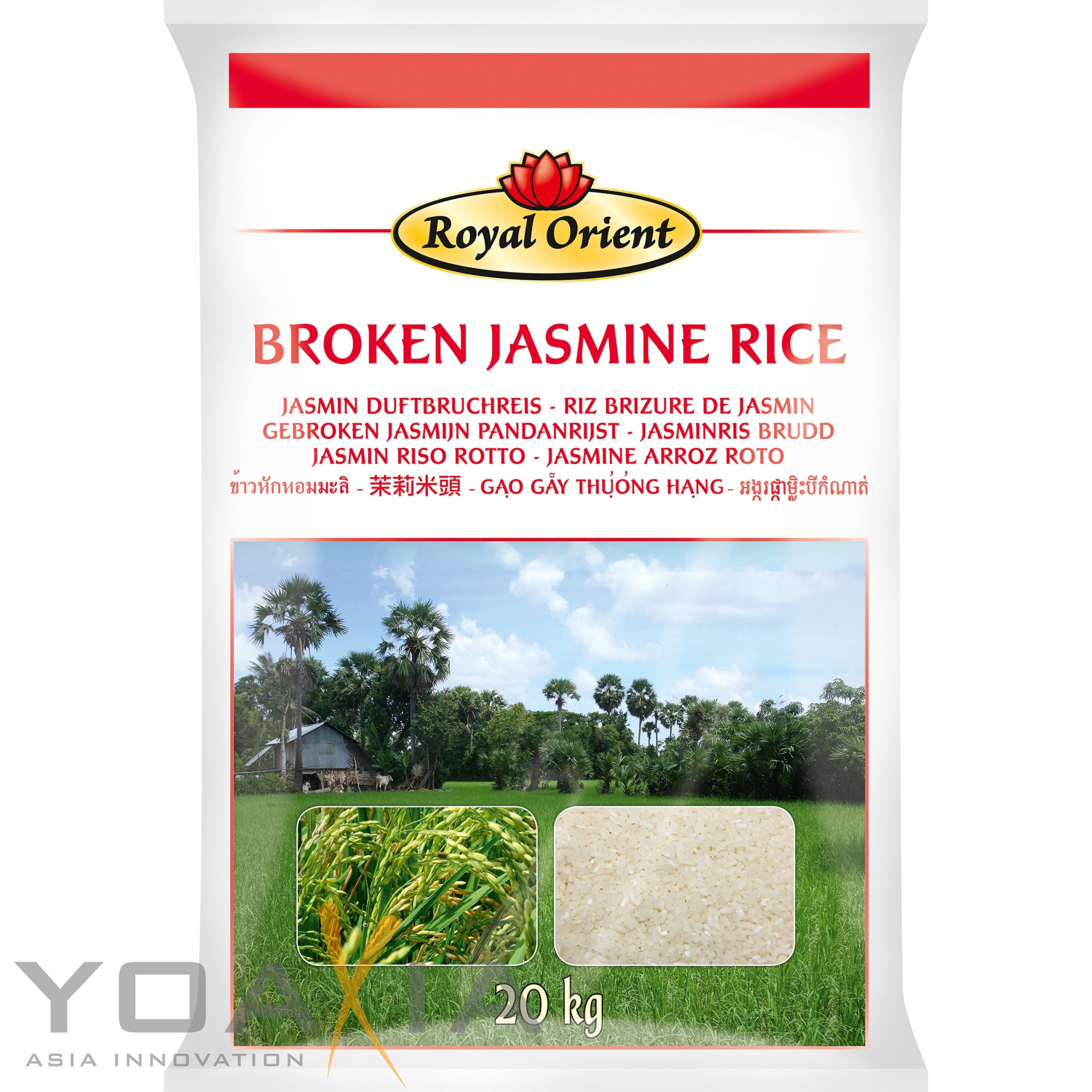 [ 20kg ] ROYAL ORIENT Jasmin Duftbruchreis / Broken Jasmin Rice