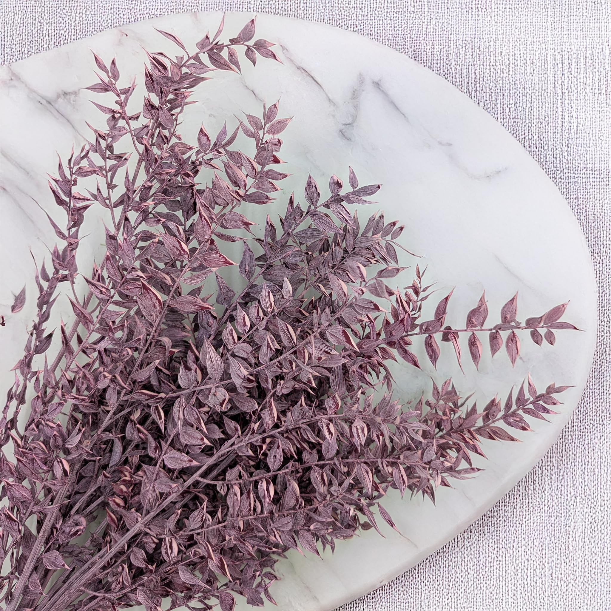 Enchanted Fleurs Séchées Naturelles, Ruscus Stabilisé, 100 g, Violet Mat
