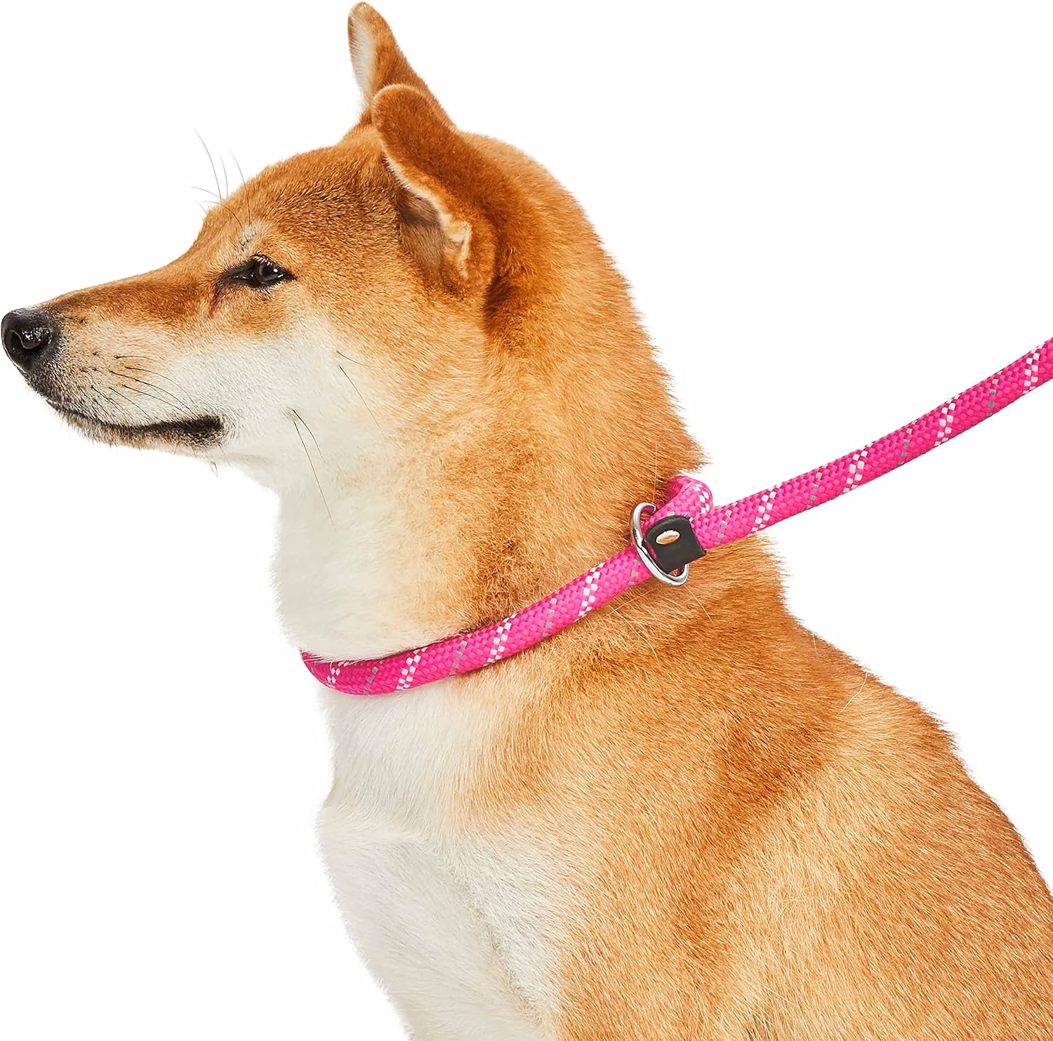 Blueberry Pet Durable Diagonal Striped Collar Leash Training Set with Comfy Neoprene Handle, Pink, 6 ft, Strong Training Leashes for Dogs