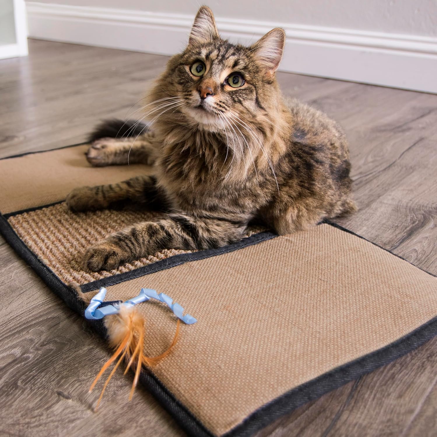 Petlinks Scratch & Play Carpet & Burlap Cat Scratch Mat - Brown, One Size