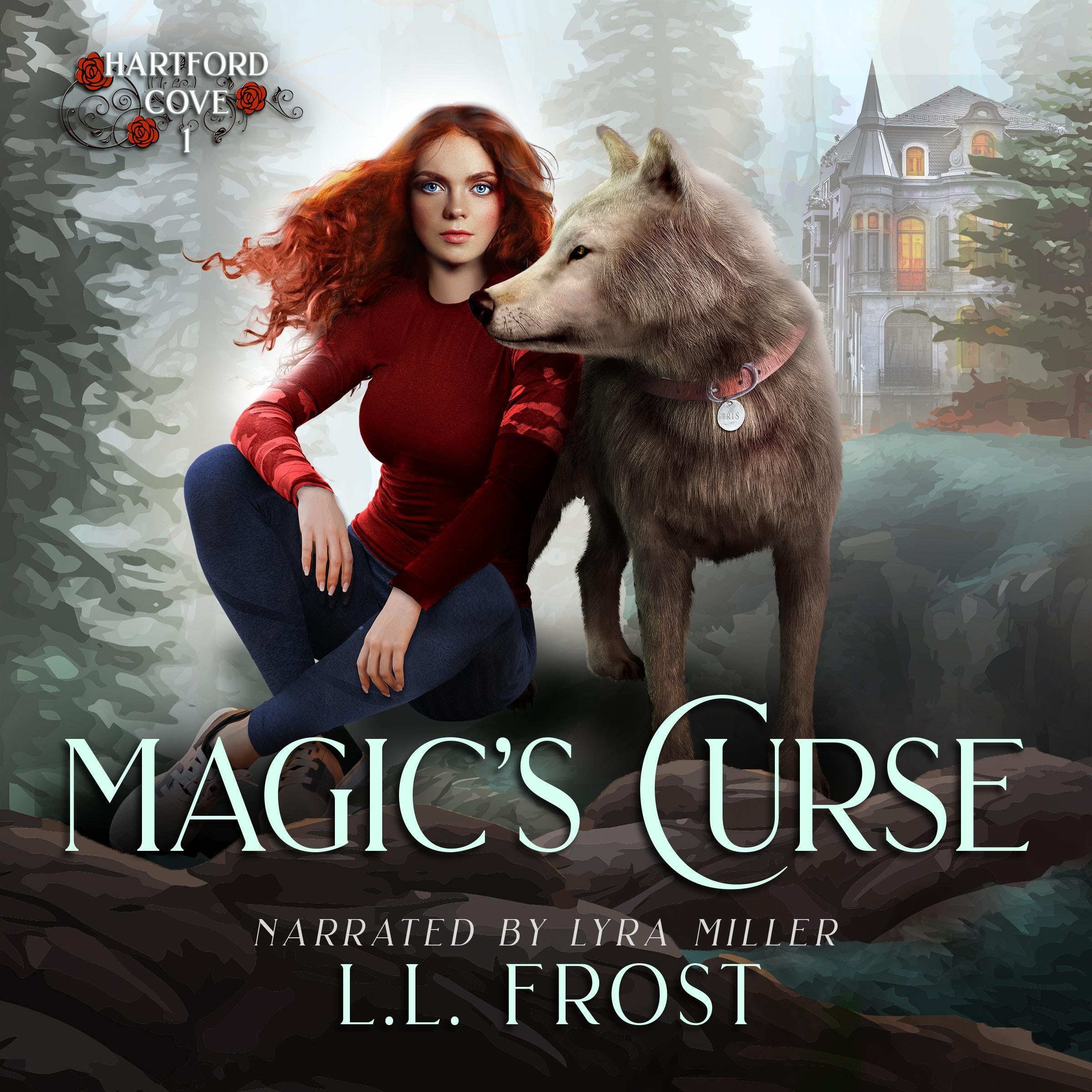 Cover art for Magic's Curse