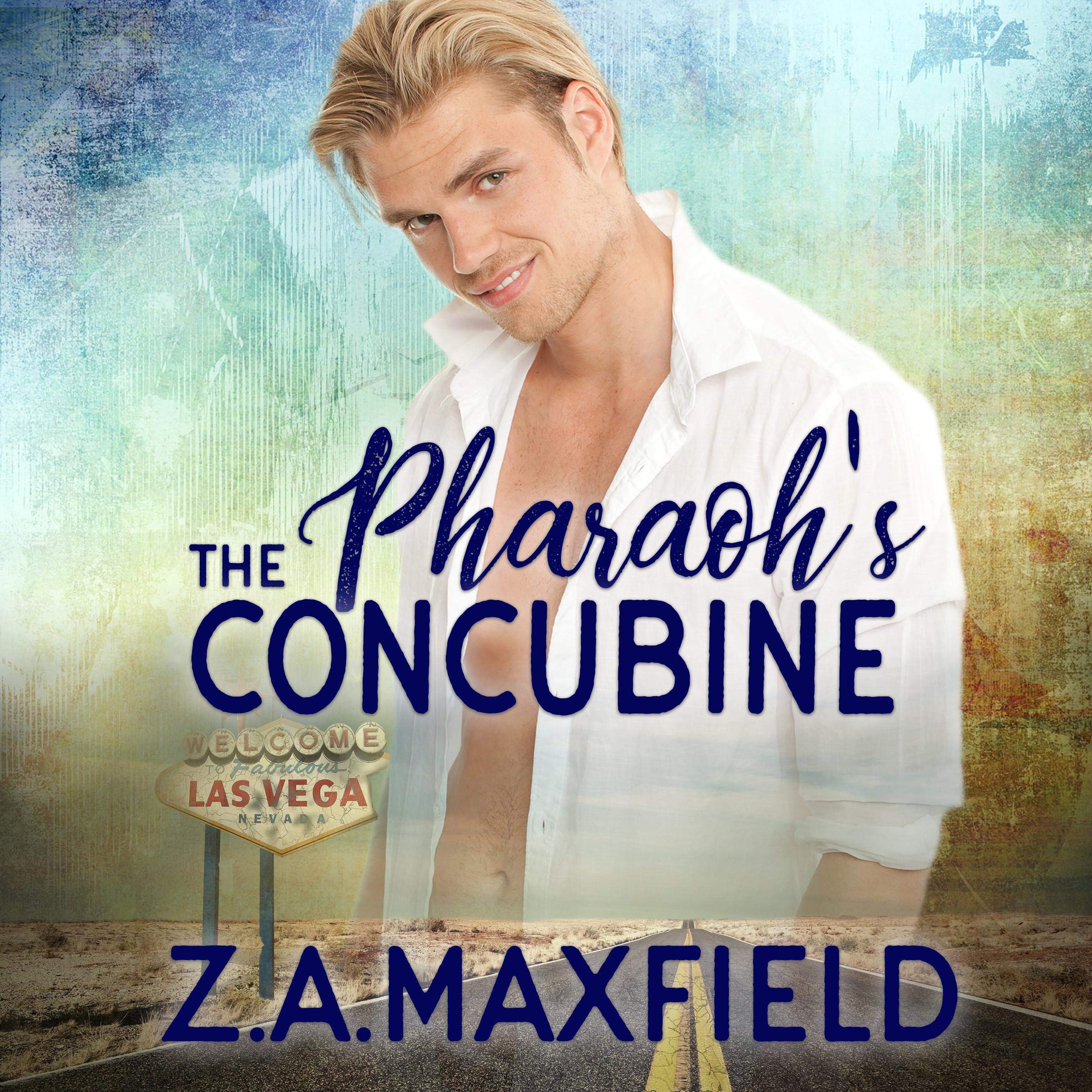 Cover art for The Pharaoh's Concubine