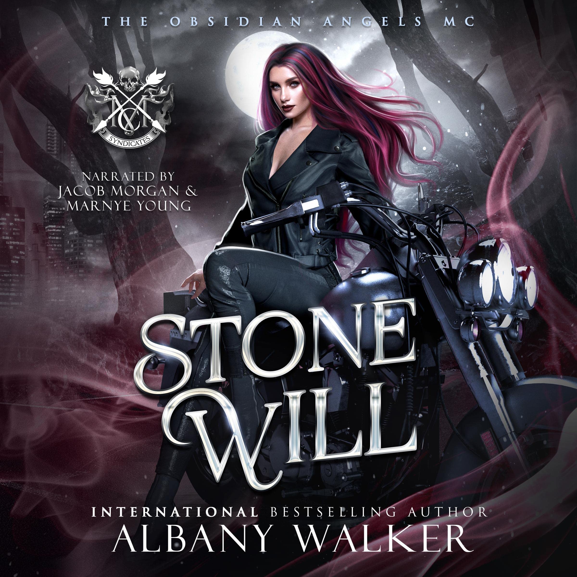 Cover art for Stone Will