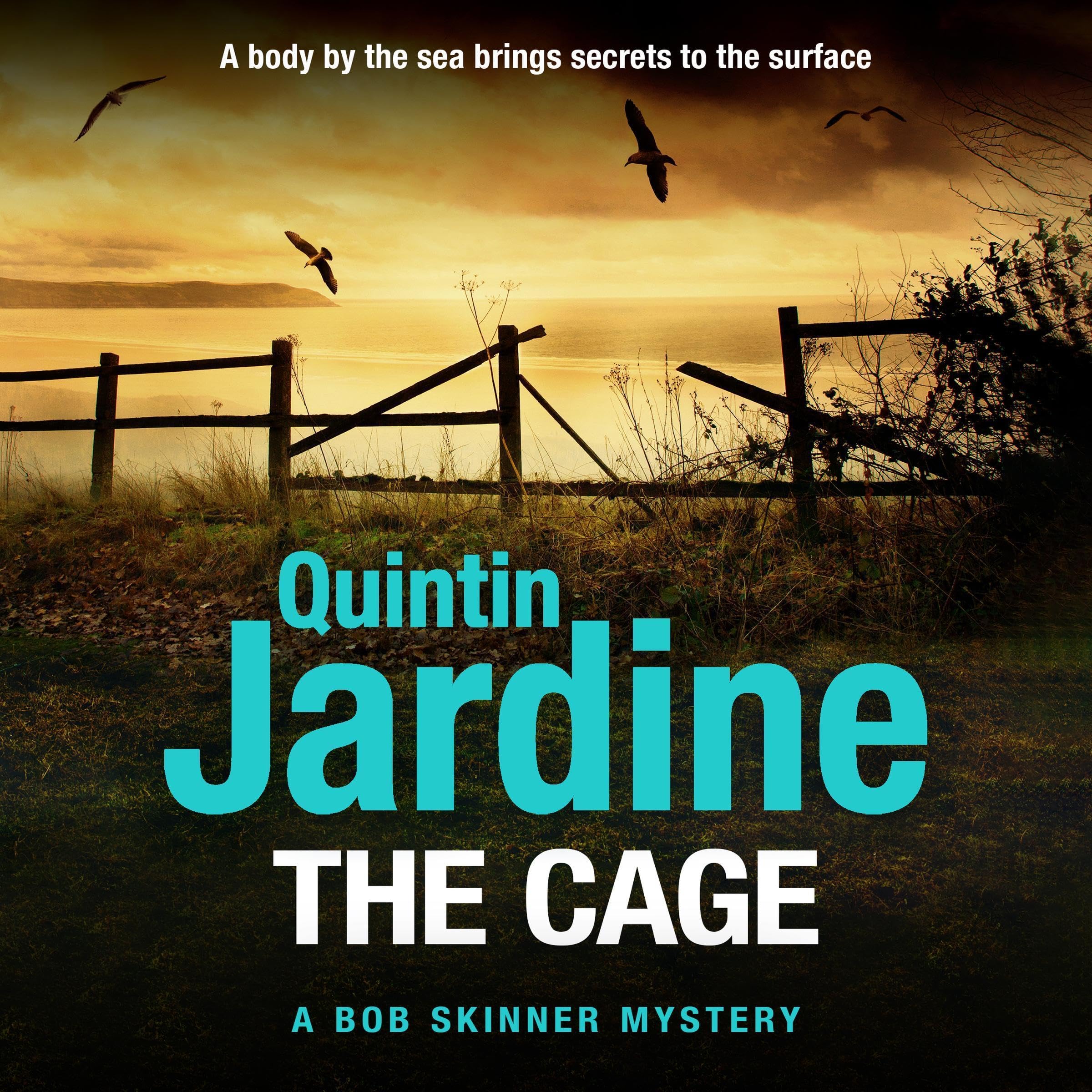 Cover art for The Cage
