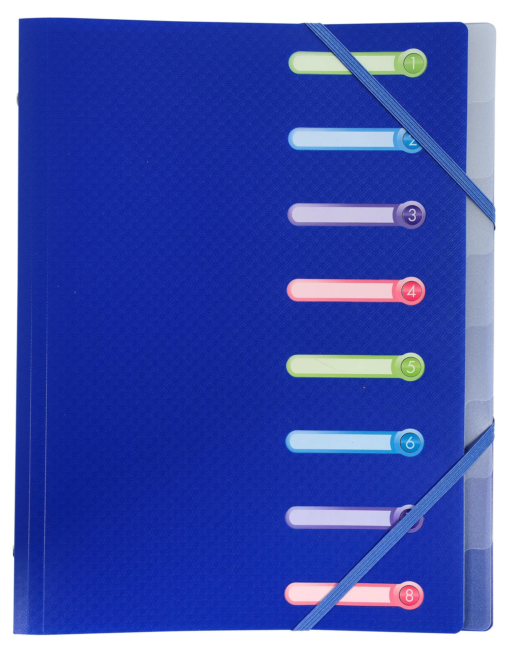 Exacompta - Réf. 56180E - Carton de 10 trieurs Opak - 3 rabats - avec élastiques et fenêtres découpées - couverture et intérieur en PP - 8 compartiments - dim 25x32cm - pour A4 - assorties