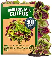 HOME GROWN Rainbow Mix Coleus Seeds, 400 Plectranthus scutellarioides | Open-Pollinated, Non-GMO | 400 Seeds (0.2g) | Zones 2–11 | Part Shade to Shade | Colorful Foliage | Annual