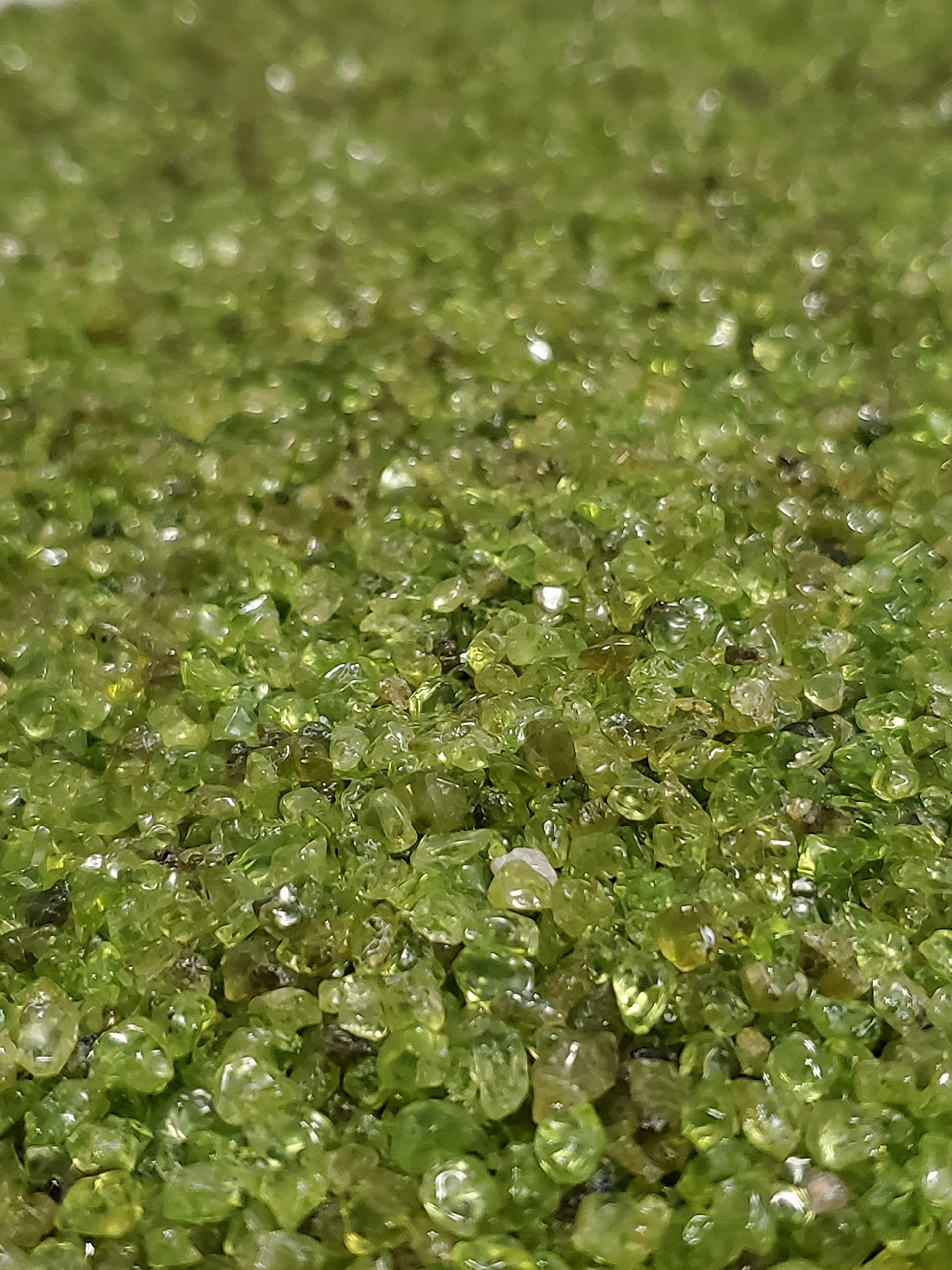 JM Future Extra Small Olivine (Peridot) Nature Stones & Crystal Tumbled Chips Gemstone Crushed Pieces Irregular Shaped Jewelry Making Home Crafts Projects Flower Pot Fish Tank Decoration Gift 1.1 lb