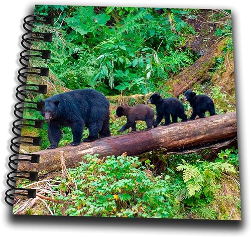 3dRose Black Bear Triplets Follow mom at ANAN Creek. - Drawing Books (db-380611-3)