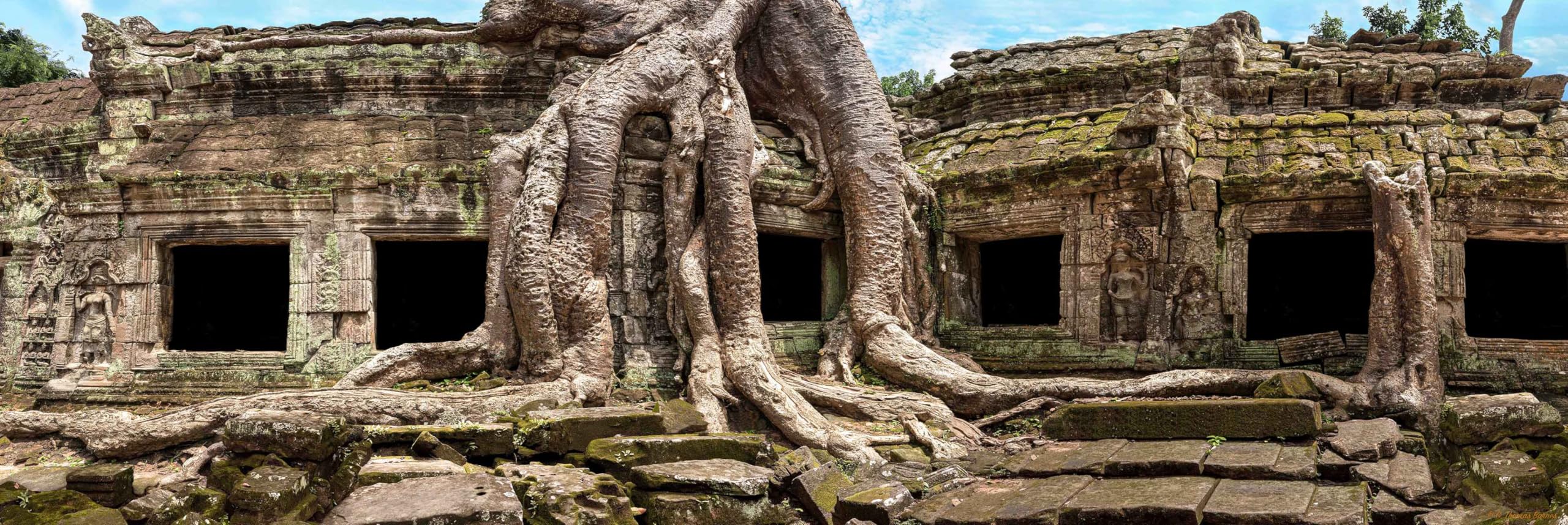 Reptile Habitat Background; Temple Ruins of Ta Prohm, for 48Lx18Wx18H Backside