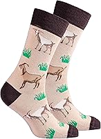 Vista 1 de socks n socks - Calcetines divertidos y coloridos de algodón de lujo para hombre