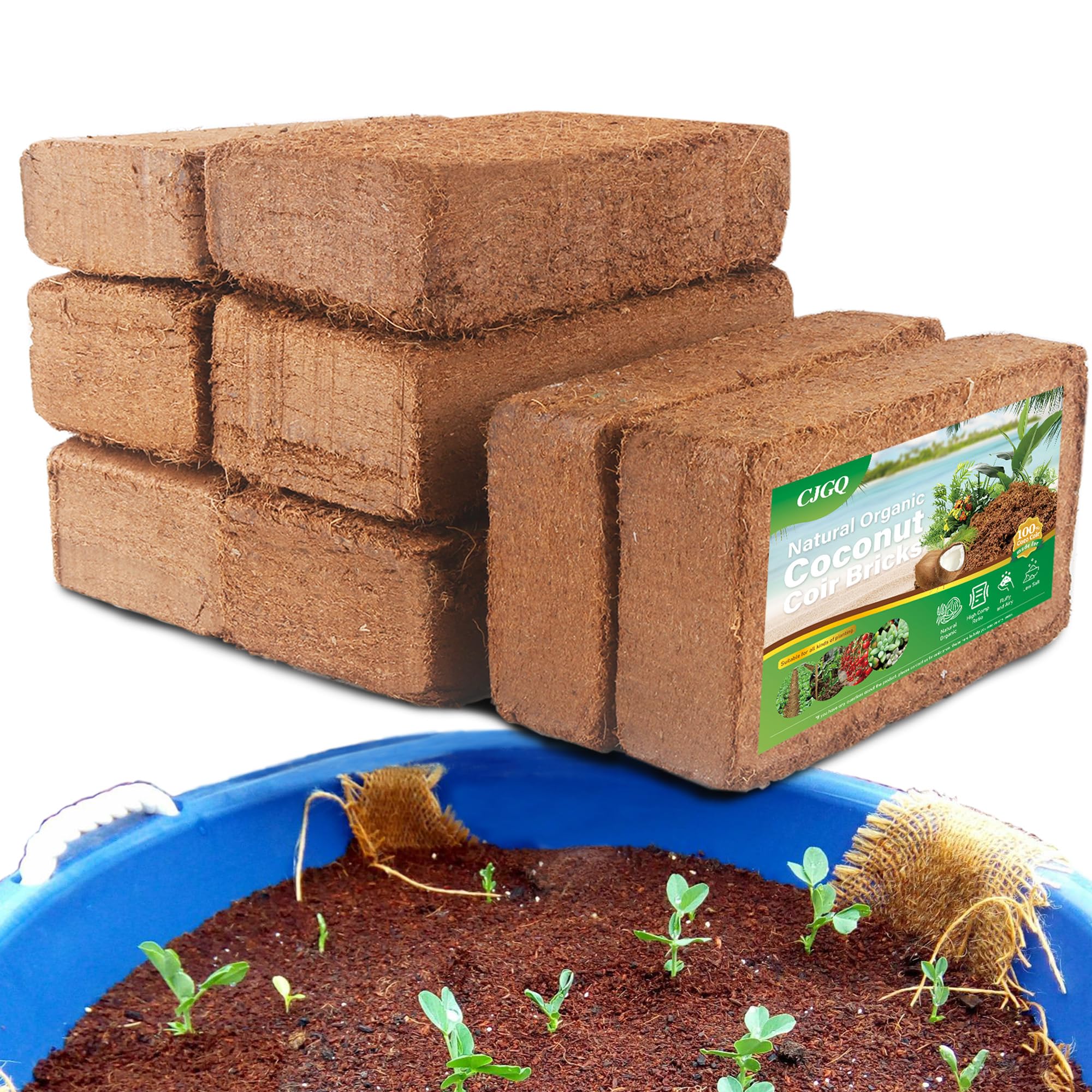 松茸　coco Amazon.com : ZeeDix 10LB Coco Fiber Chips Substrate for