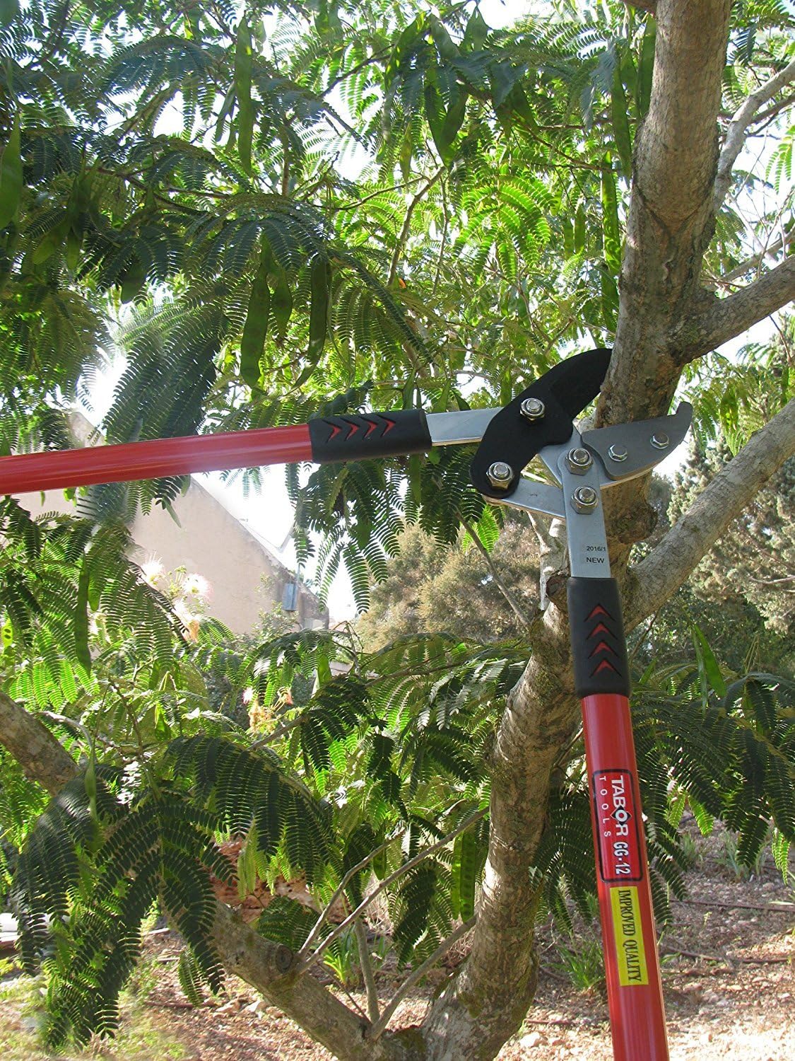 Buy TABOR TOOLS GG12A Anvil Lopper with Compound Action, 30 Inch Tree