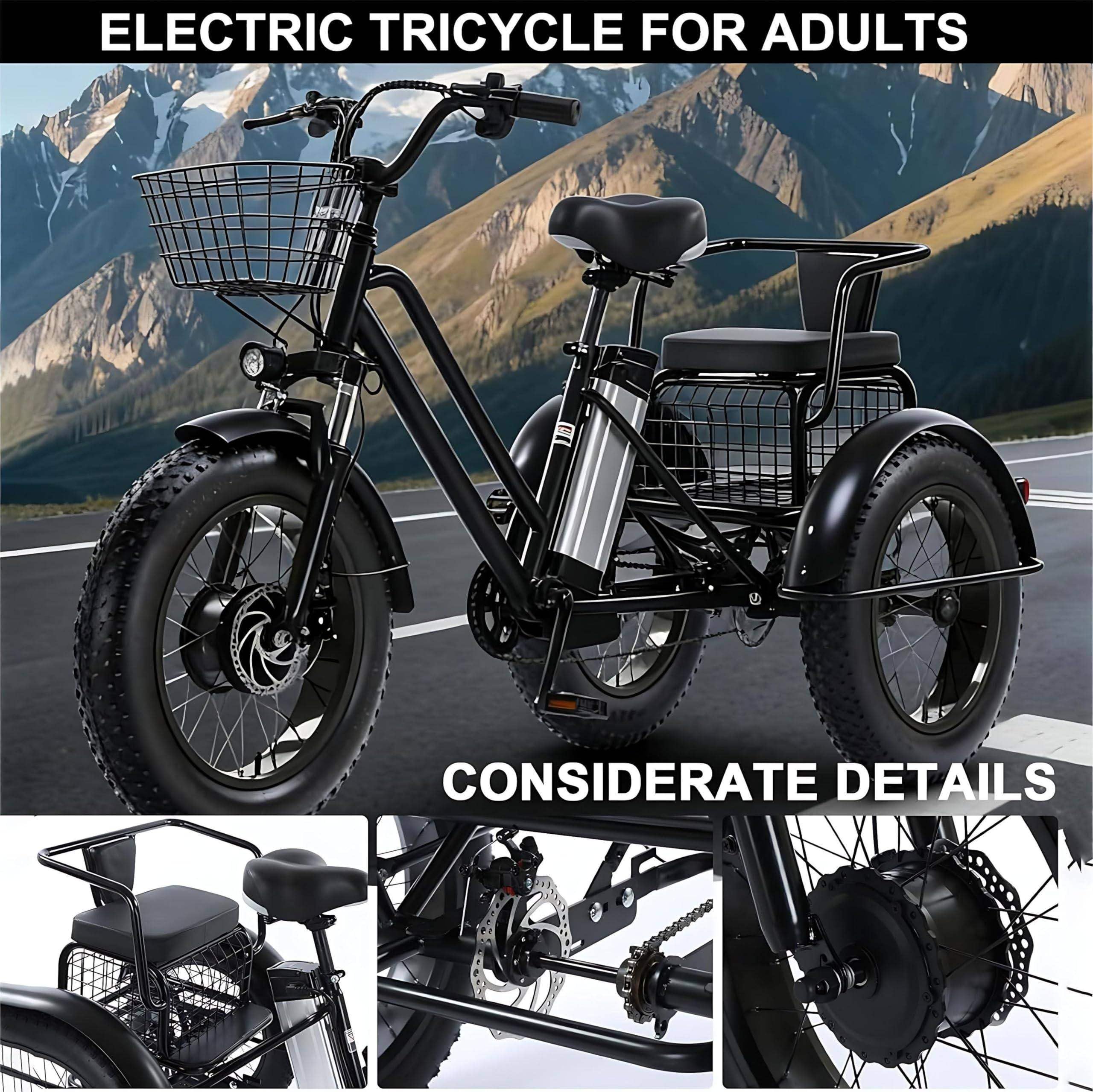 Triciclo Elettrico a 3 Ruote per Adulti – Portata 200 kg B | 20'' Fat Tyres Cargo Ebike, Shopping Basket, 48V/12Ah Removable Battery - Range 35km, for Shopping, Picnic