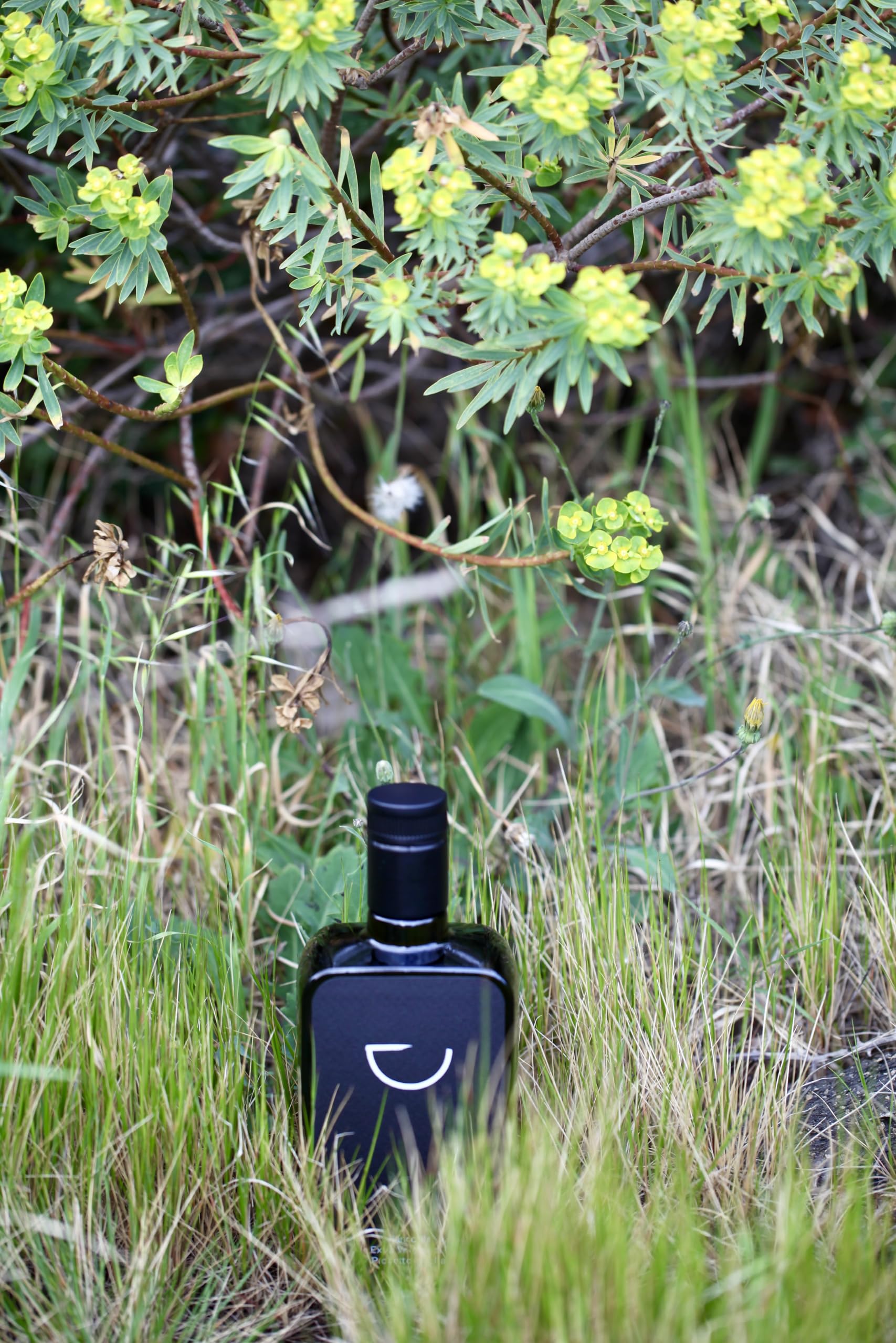 Nourish Me - Biancolilla 'La Bella' Olio Extravergine di Oliva Italiano. Estratto a Freddo. Raccolto a Mano a Pantelleria (500 ml)