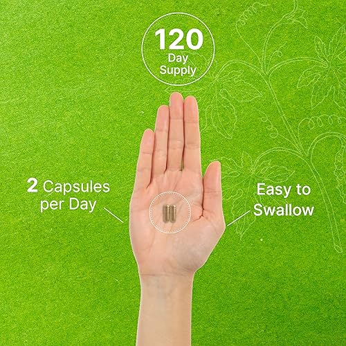 Miniatura 7 de DEAL SUPPLEMENT Ginkgo Biloba 500mg por porción, 240 cápsulas, suministro de 4 meses - Cultivado en el norte de Asia - Extra fuerte, promueve la