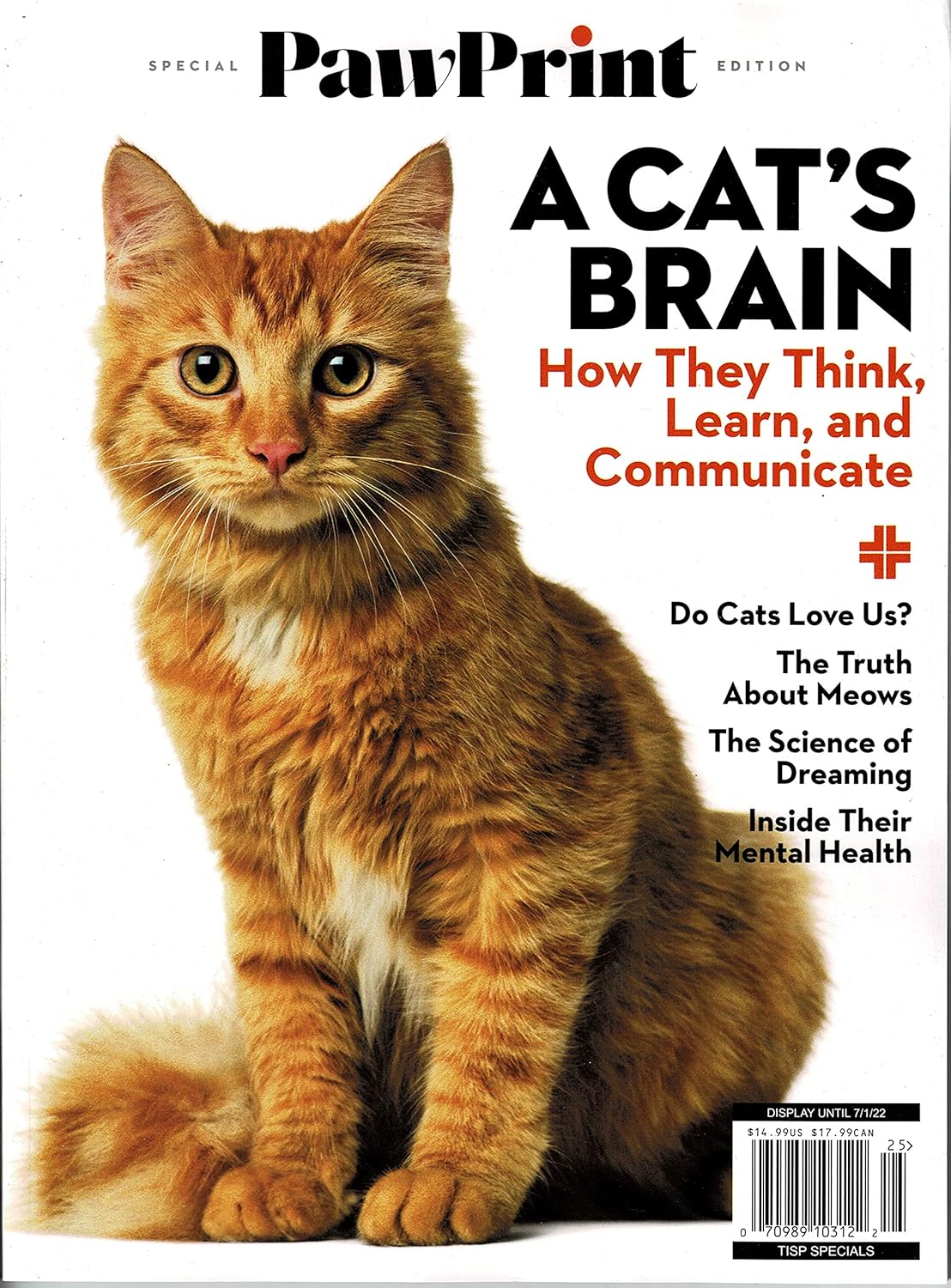 Paw Print Magazine A Cat's Brain 2022 Books