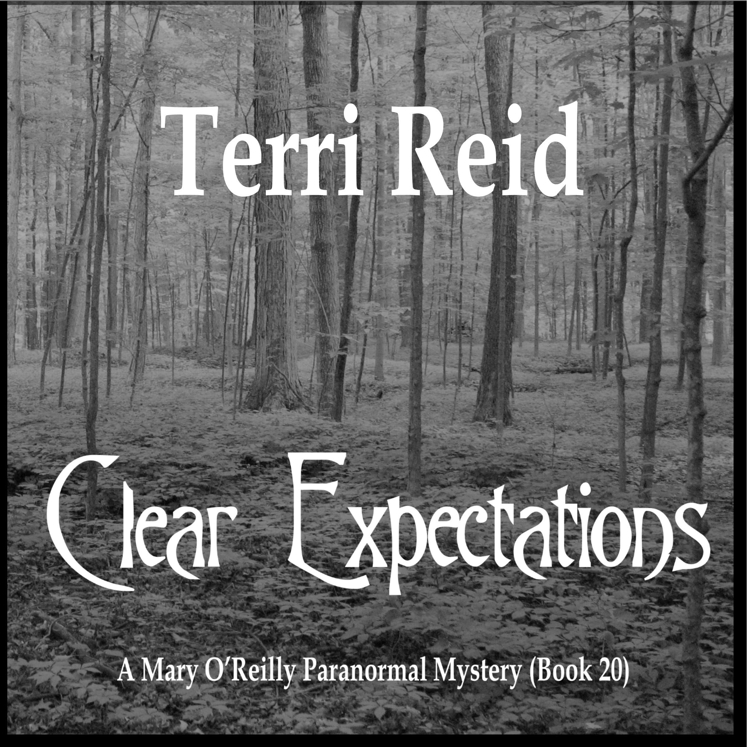 Clear Expectations - A Mary O'Reilly Paranormal Mystery