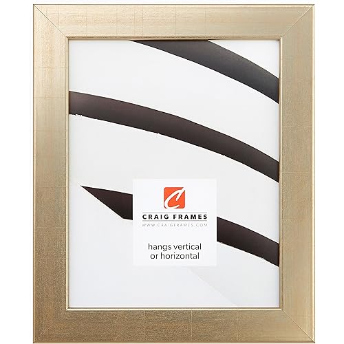 Craig Frames Avalon 223 Picture Frame, 8x12 Inch, Vintage Gold