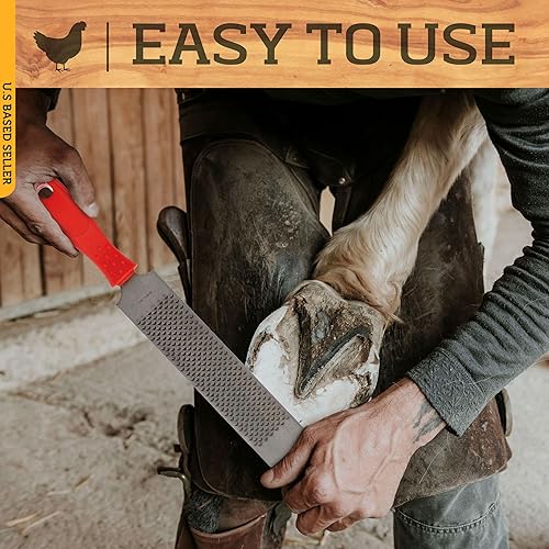 Miniatura 3 de Rural365 Farrier - Lima de pezuña y mango de goma - Mini lima de pezuña equina para caballos, lima de cerdo, escopeta de cabra