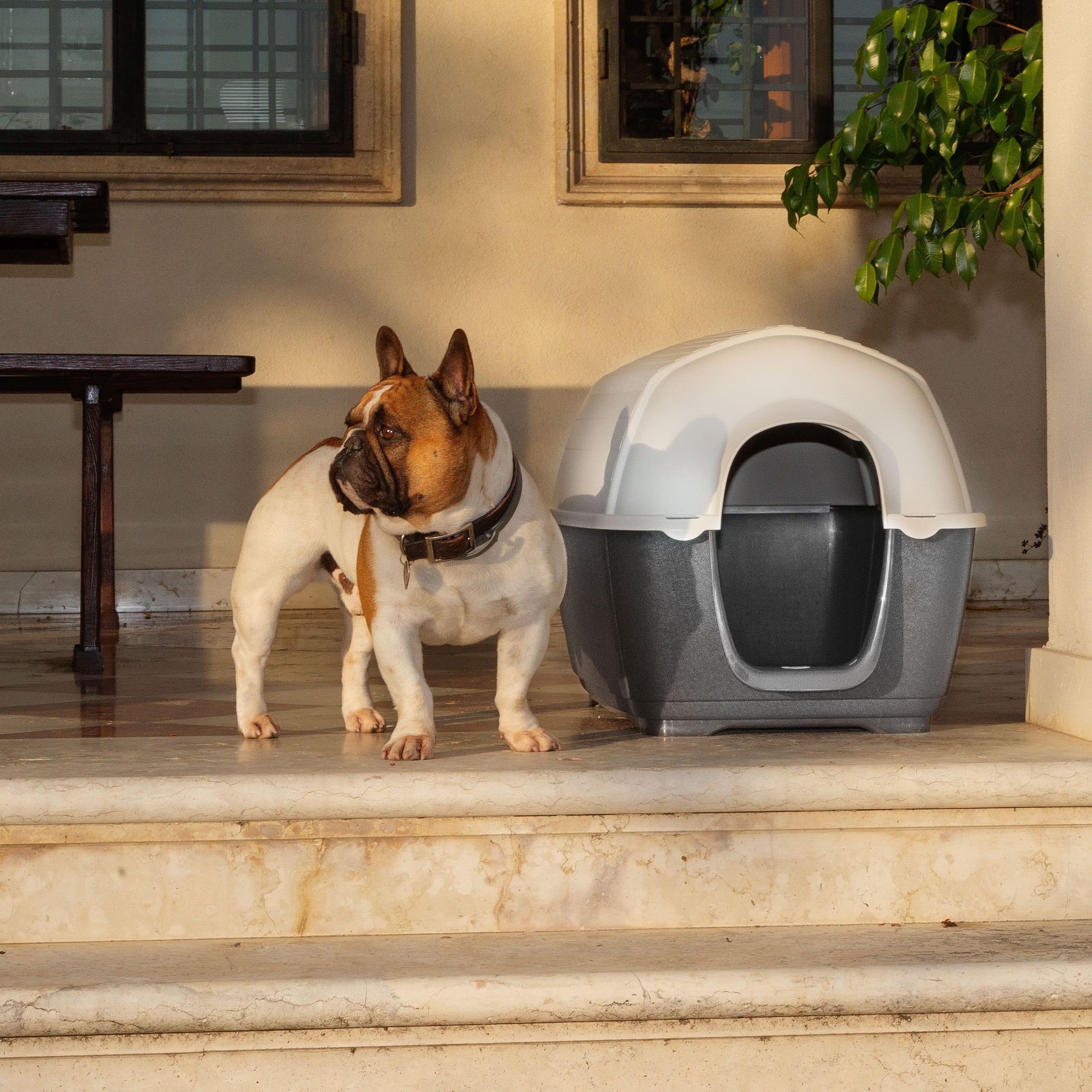 Ferplast Caseta de Exterior para Perros Kenny 01, Resina termoplástica Resistente a los Golpes y a los Rayos UV, Sistema de Drenaje de líquidos, Rejilla de ventilación, 50 x 78 x h 50 cm