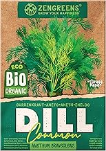 ZenGreens® - Bio Dill Samen - Dillsamen - Kräutersamen für den einfachen Anbau im Garten, Balkon oder Küche - Kräuter Saatgut ideal für Anfänger - Gurkenkraut