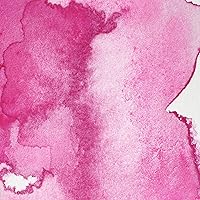 Vista 265 de Winsor & Newton - Pintura para acuarela profesional