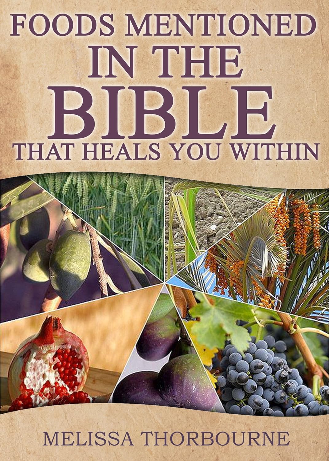 Foods Mentioned In The BIBLE That Heals You Within eBook