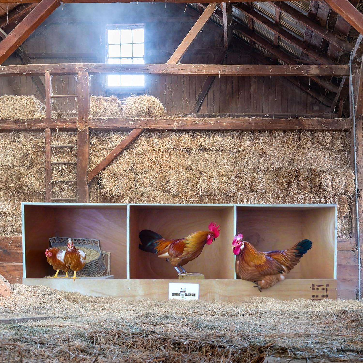 Rugged Ranch TRIPLEX RuggEgg Primitive Barn Wooden Chicken Coop Triple Nesting Egg Boxes for 3 Hens or Chickens, Natural Brown