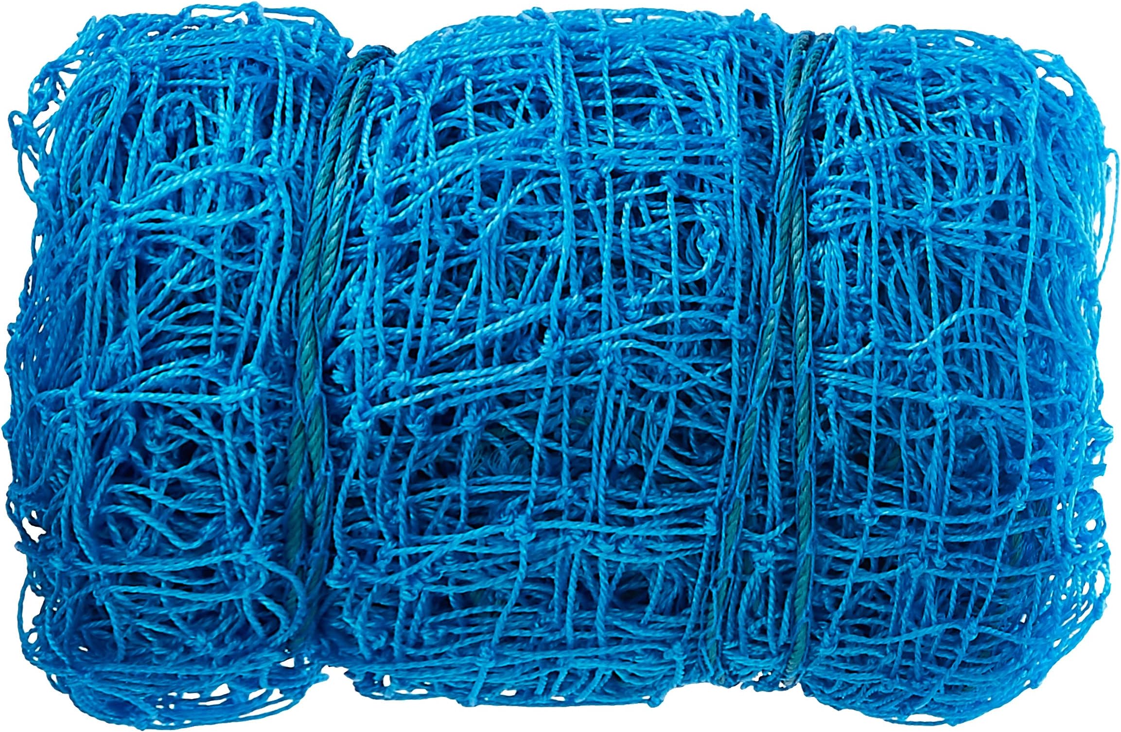 Raisco Cricket Practice/Boundary Fencing Football/Futsal/Handball Sports Ground Net Safety net Size:1.5mm-10 * 10-Blue