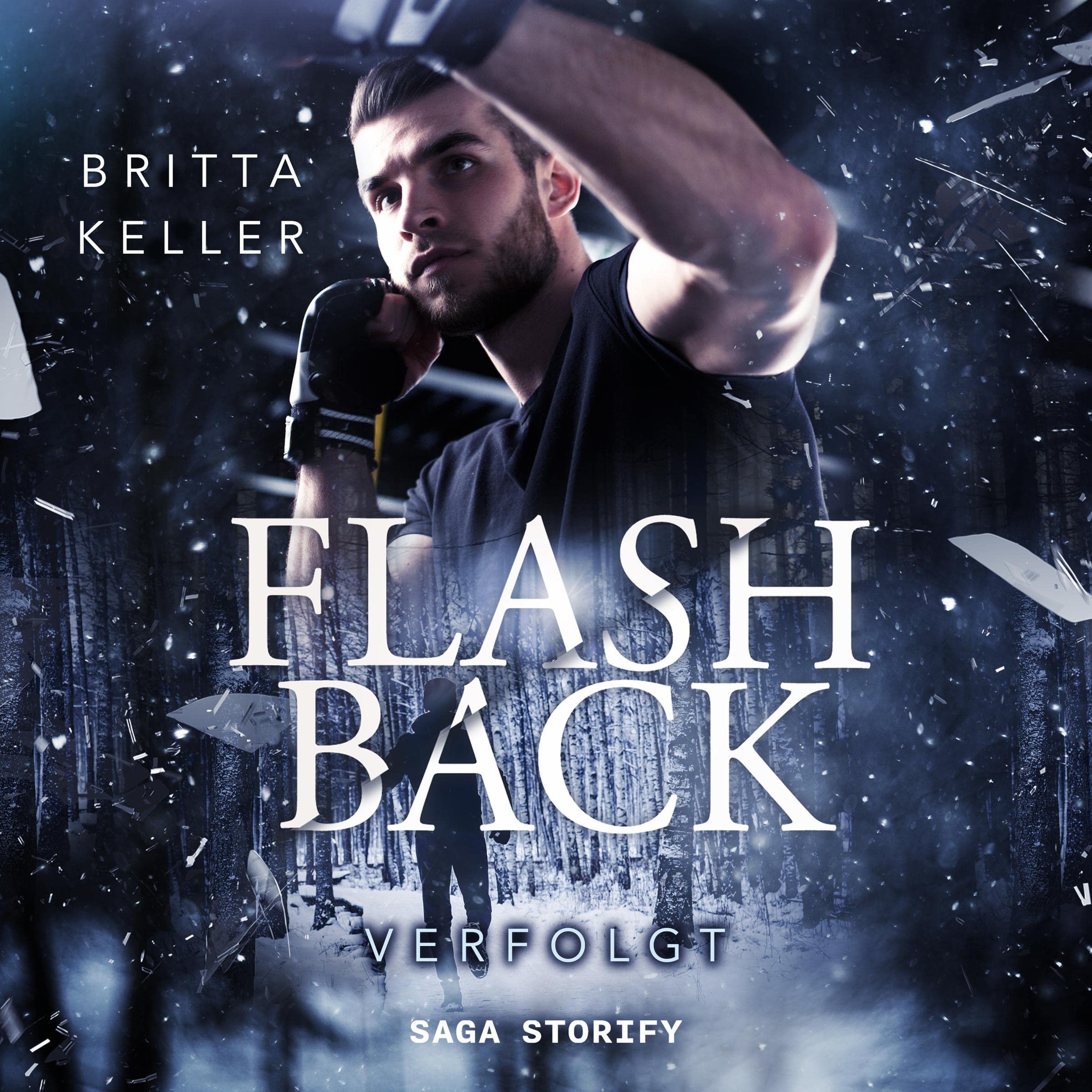 Cover art for Flashback - Verfolgt