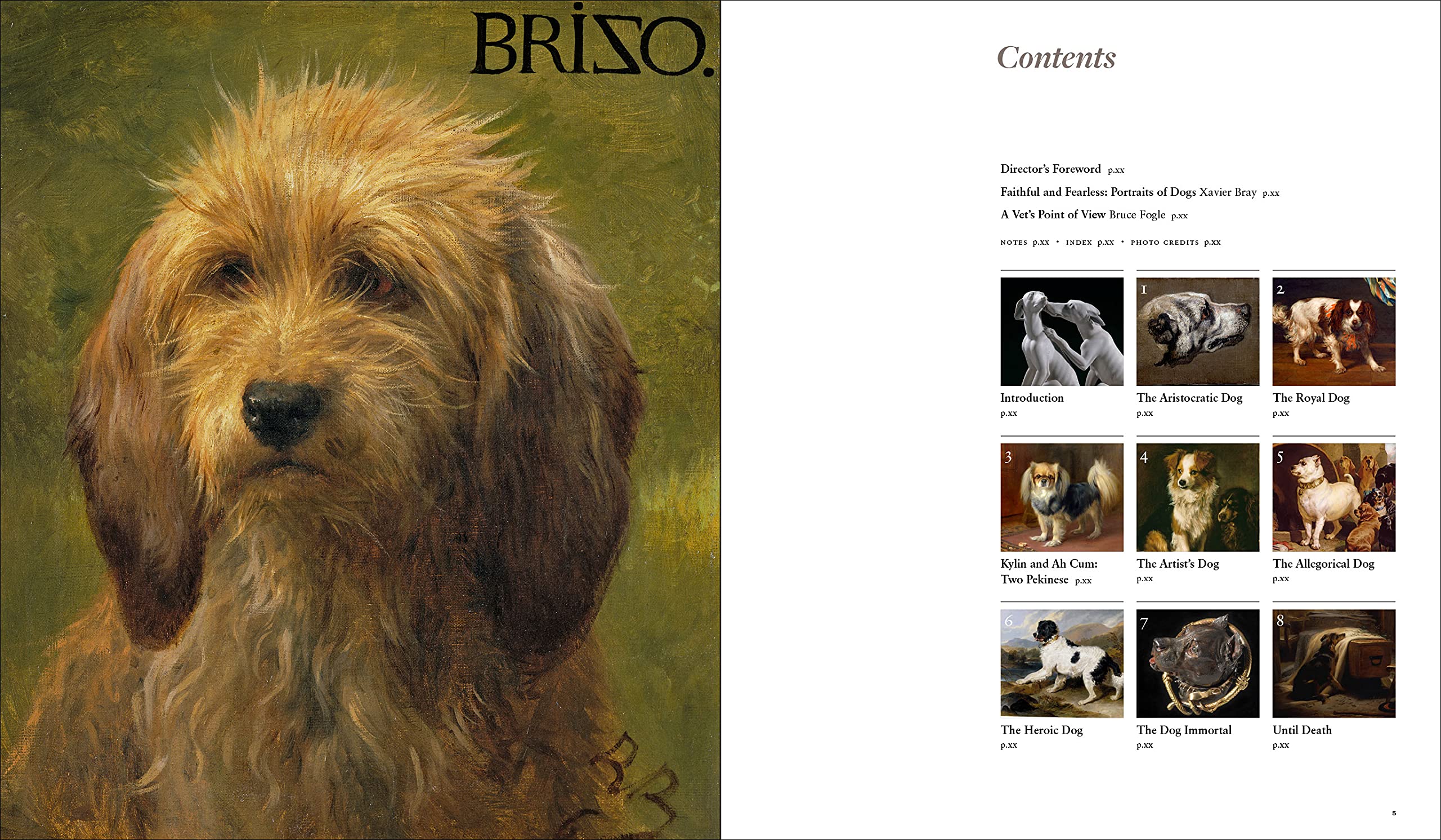 Faithful and Fearless: Portraits of Dogs