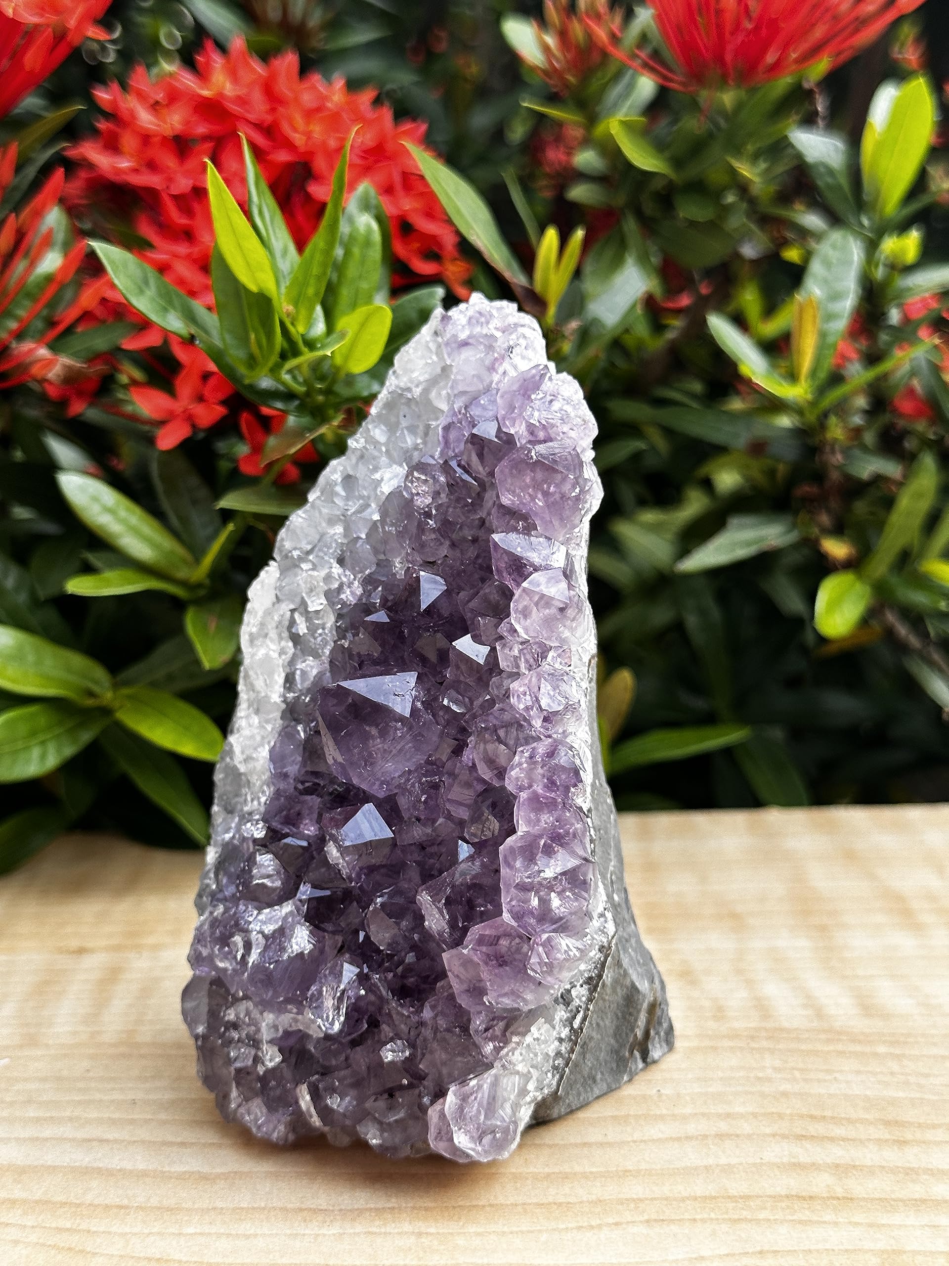 Amazon.com: GAF TREASURES 紫水晶簇,紫水晶大地石,原始紫水晶,紫水晶