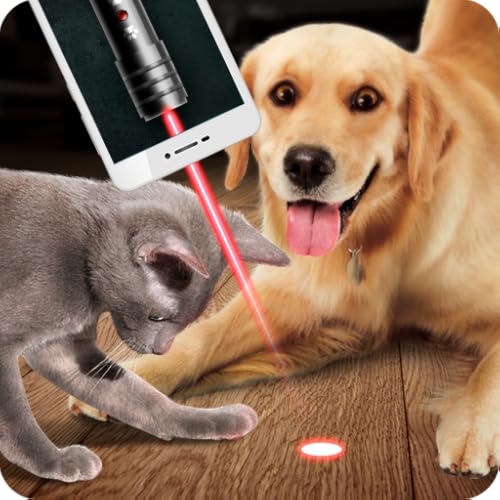 Laser for Home Animal Joke